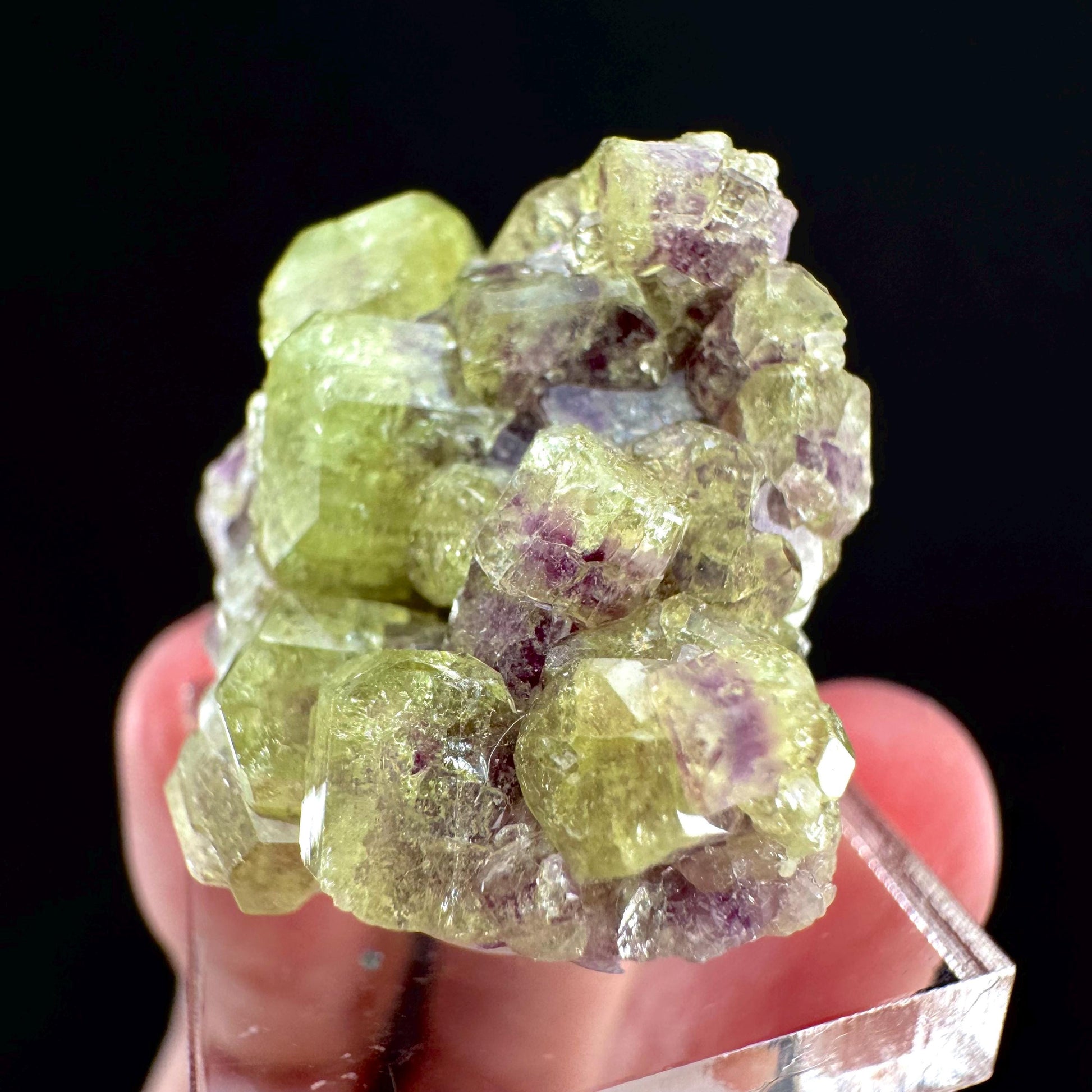 Vesuvianite (Canada) | green & purple vesuvianite crystal, rare mineral specimen