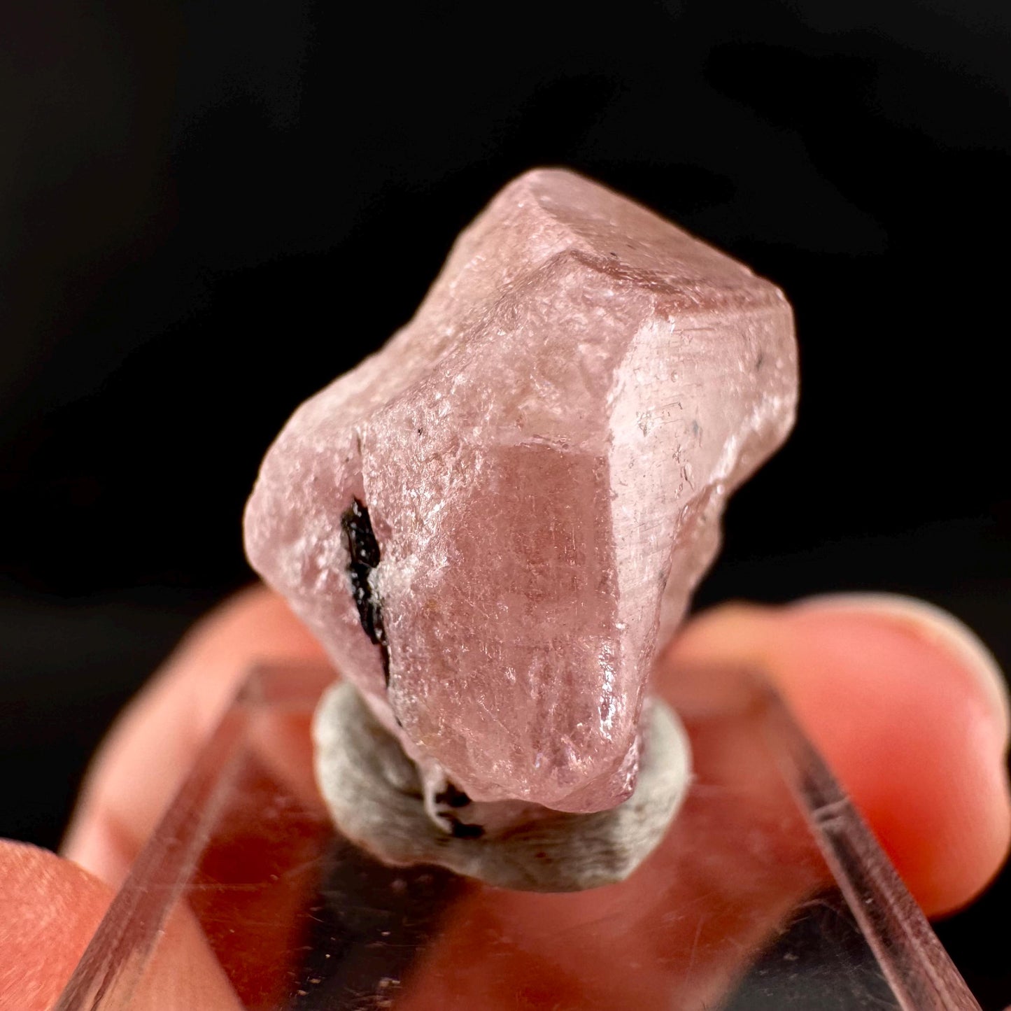 Pink Fluorapatite w/ Black Tourmaline | UV reactive crystal, rare mineral specimen from Pakistan