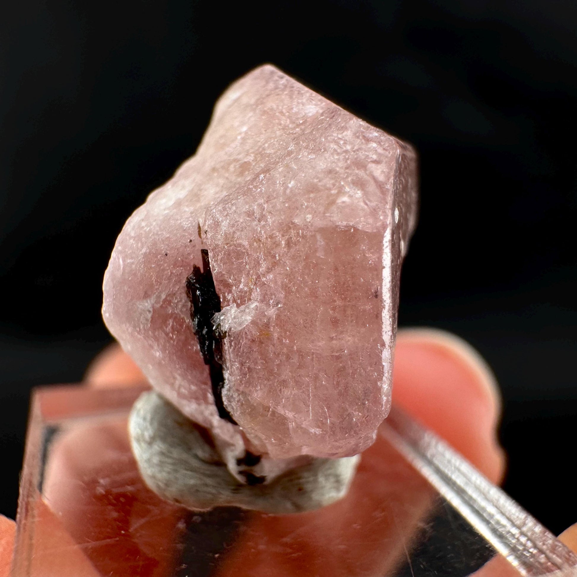 Pink Fluorapatite w/ Black Tourmaline | UV reactive crystal, rare mineral specimen from Pakistan