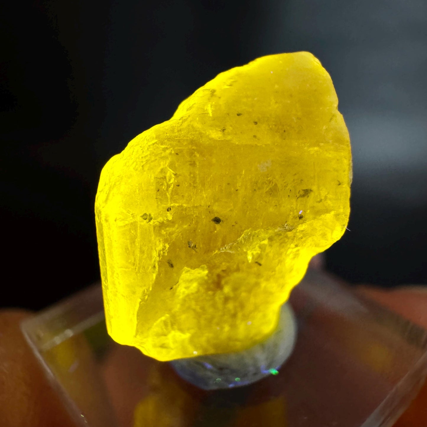 Pink Fluorapatite w/ Black Tourmaline | UV reactive crystal, rare mineral specimen from Pakistan