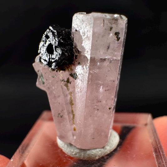 Pink Fluorapatite w/ Black Tourmaline | UV reactive crystal, rare mineral specimen from Pakistan