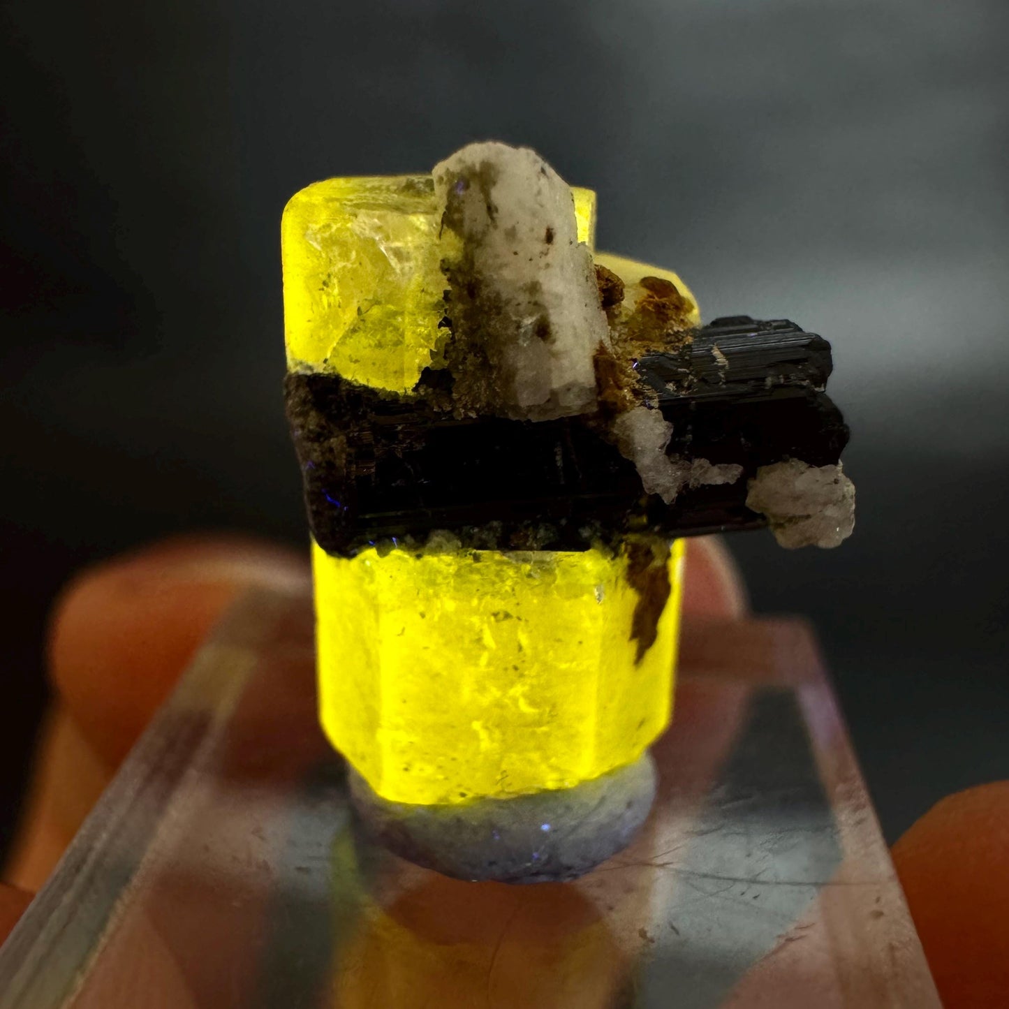 Pink Fluorapatite w/ Black Tourmaline | UV reactive crystal, rare mineral specimen from Pakistan