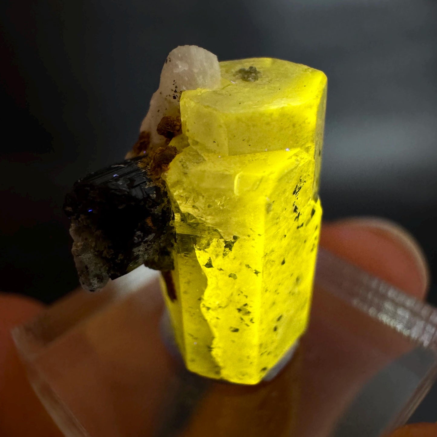 Pink Fluorapatite w/ Black Tourmaline | UV reactive crystal, rare mineral specimen from Pakistan