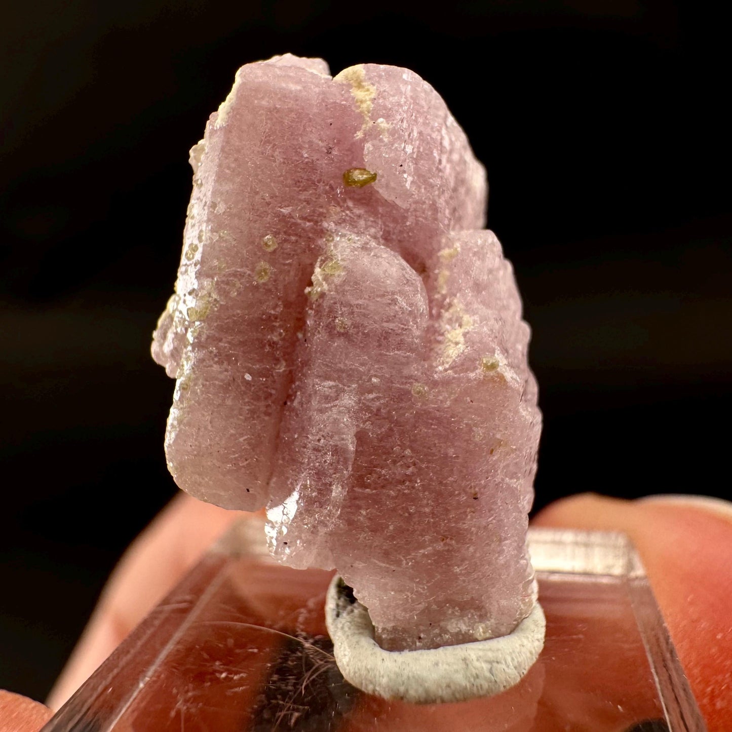 Pink Fluorapatite Crystal | UV reactive Mineral Specimen from Pakistan