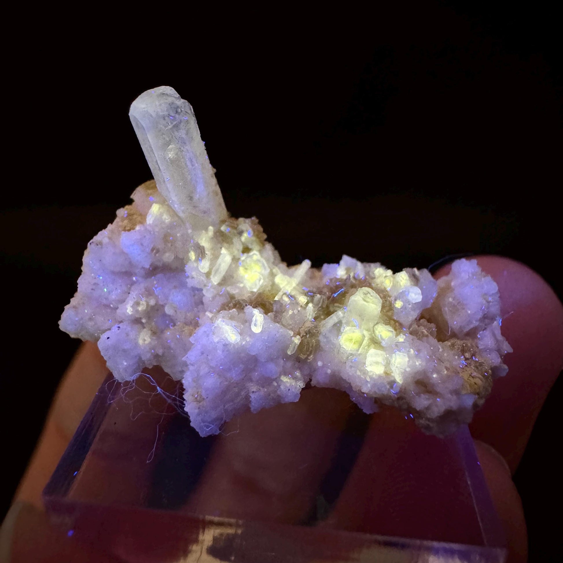 Pink Fluorapatite w/ Albite | UV reactive crystal, rare mineral specimen from Pakistan
