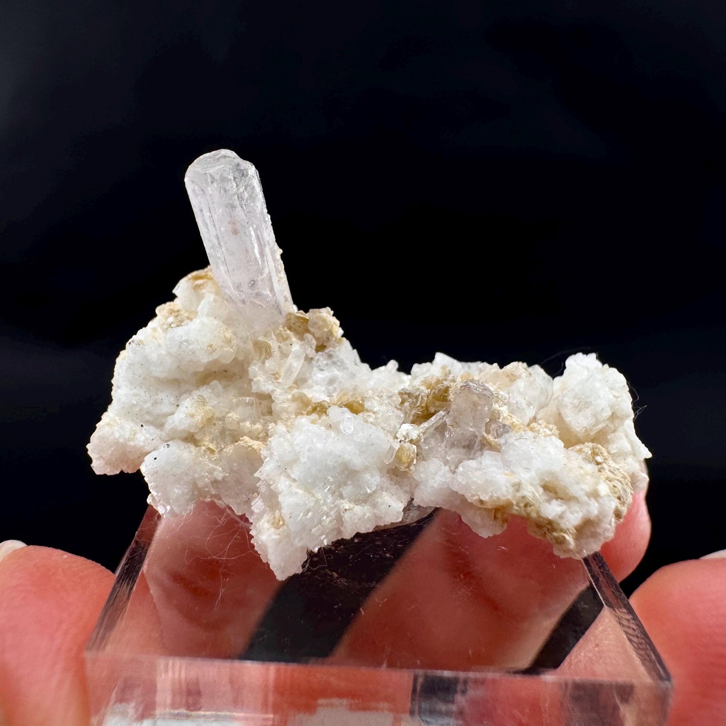 Pink Fluorapatite w/ Albite | UV reactive crystal, rare mineral specimen from Pakistan