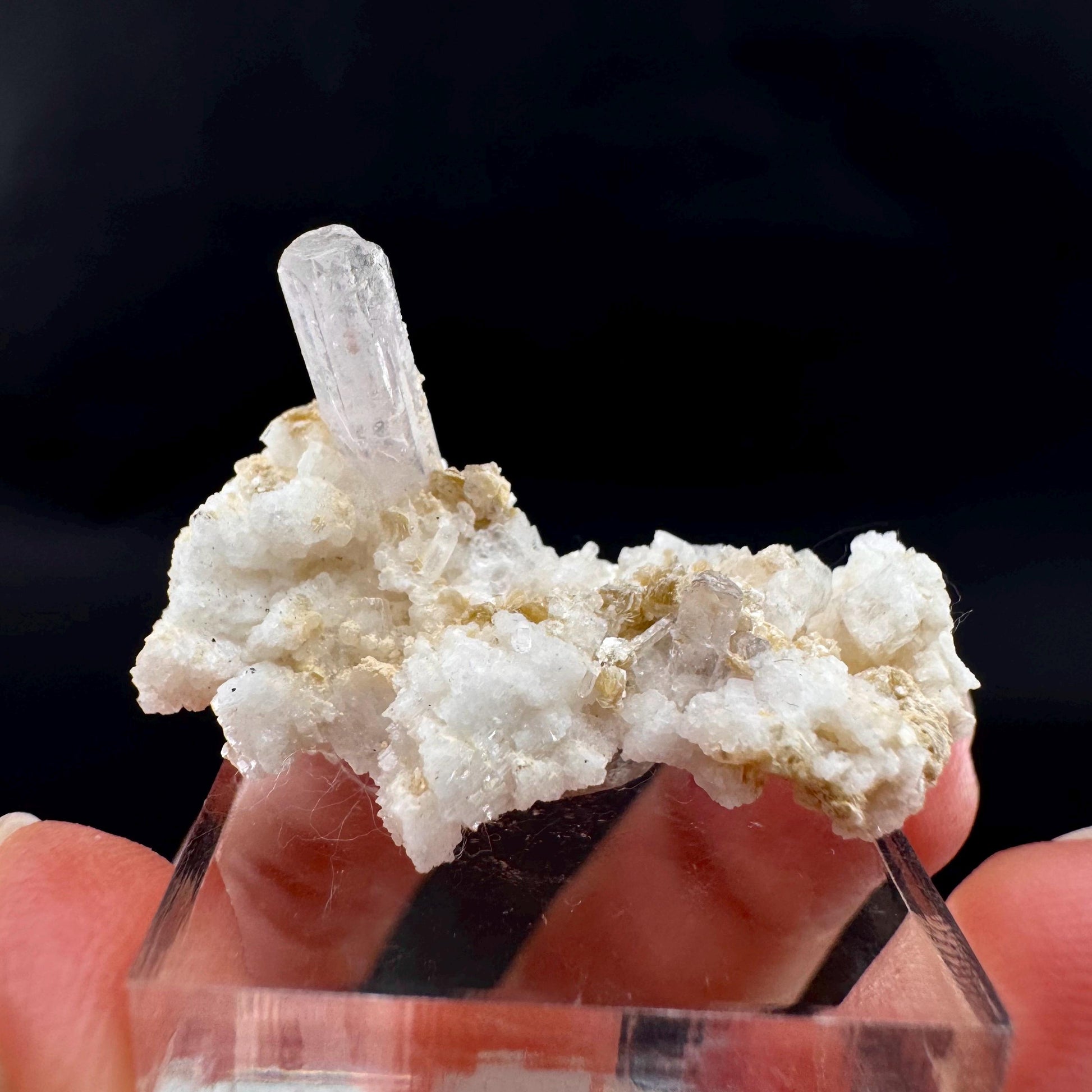 Pink Fluorapatite w/ Albite | UV reactive crystal, rare mineral specimen from Pakistan