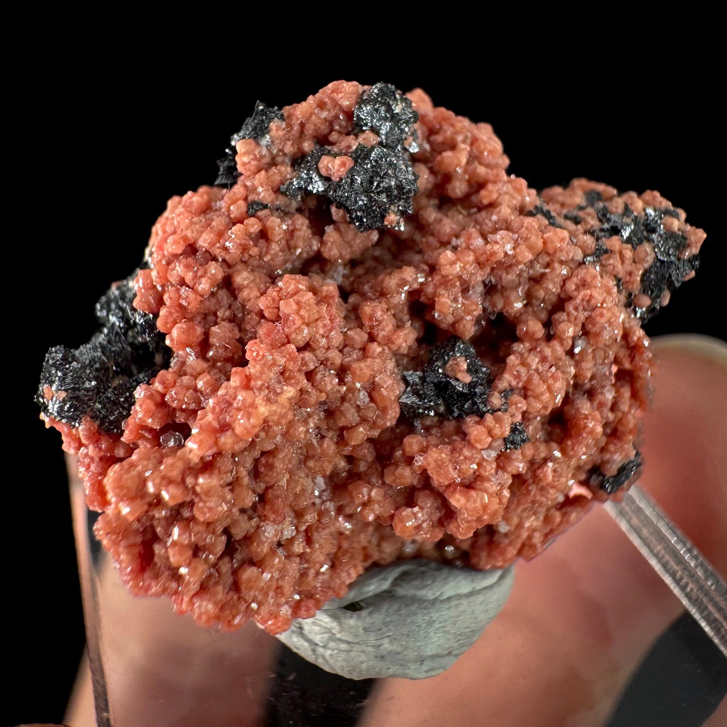 Hausmannite on Andradite Garnet | rare mineral specimen from South Africa