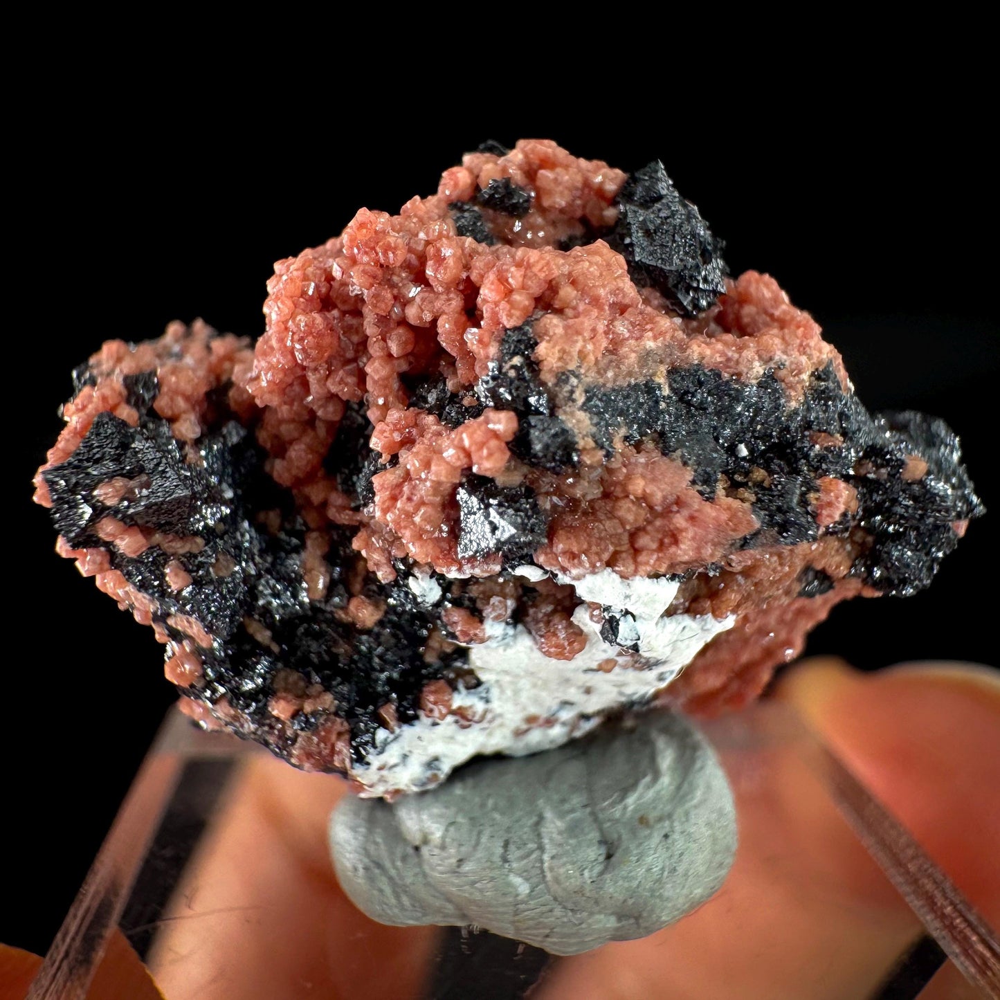 Hausmannite on Andradite Garnet | rare mineral specimen from South Africa