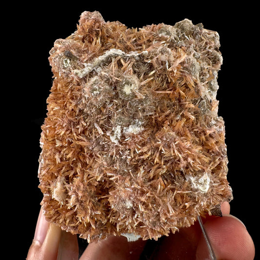 Inesite | rare mineral specimen from South Africa