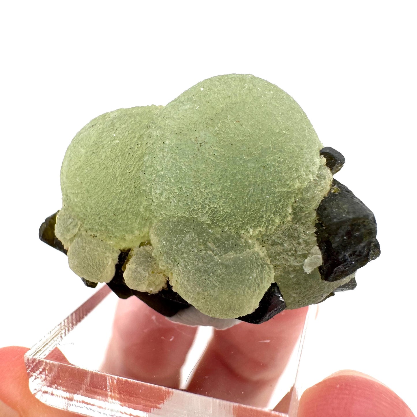 Prehnite with Epidote | Botryoidal green crystal, mineral specimen from Mali