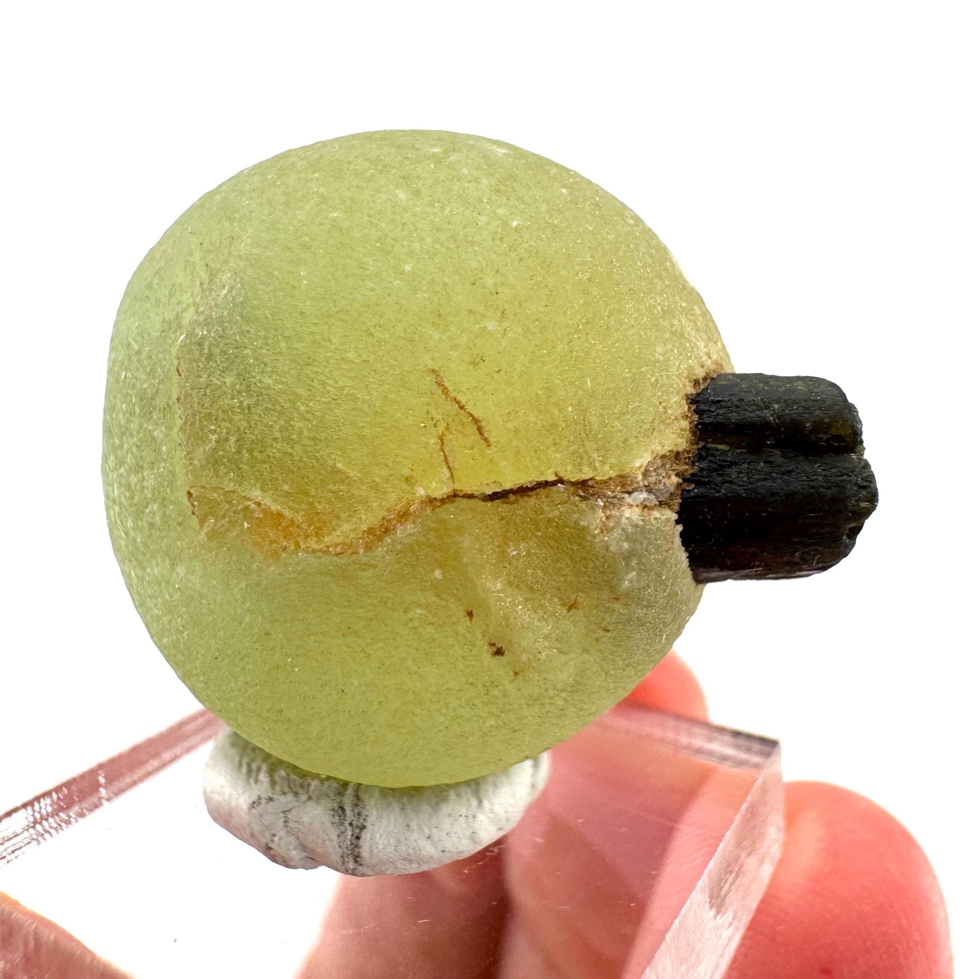 Prehnite with Epidote | Botryoidal green crystal, mineral specimen from Mali