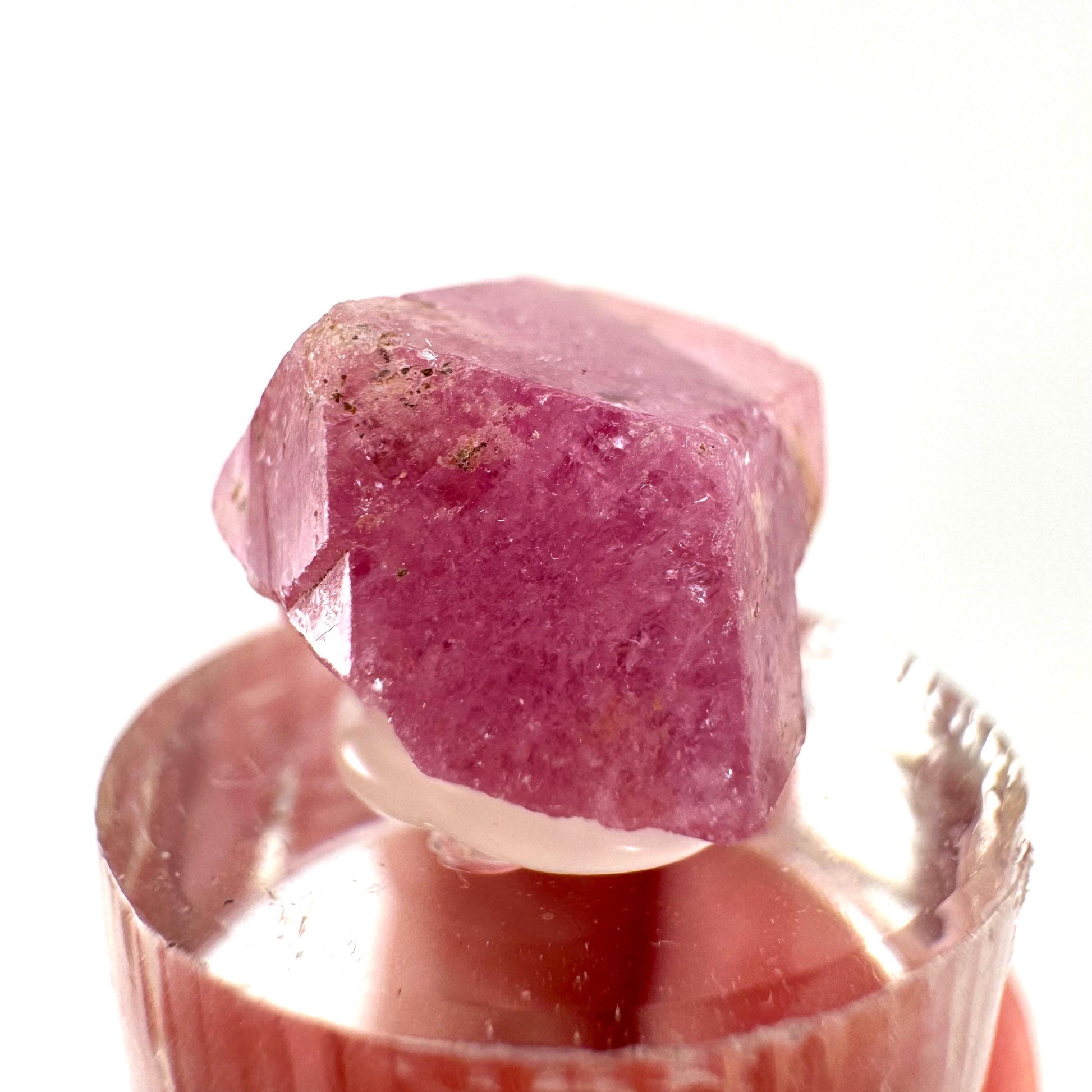 Raspberry Garnet | pink grossular garnet crystal from Mexico
