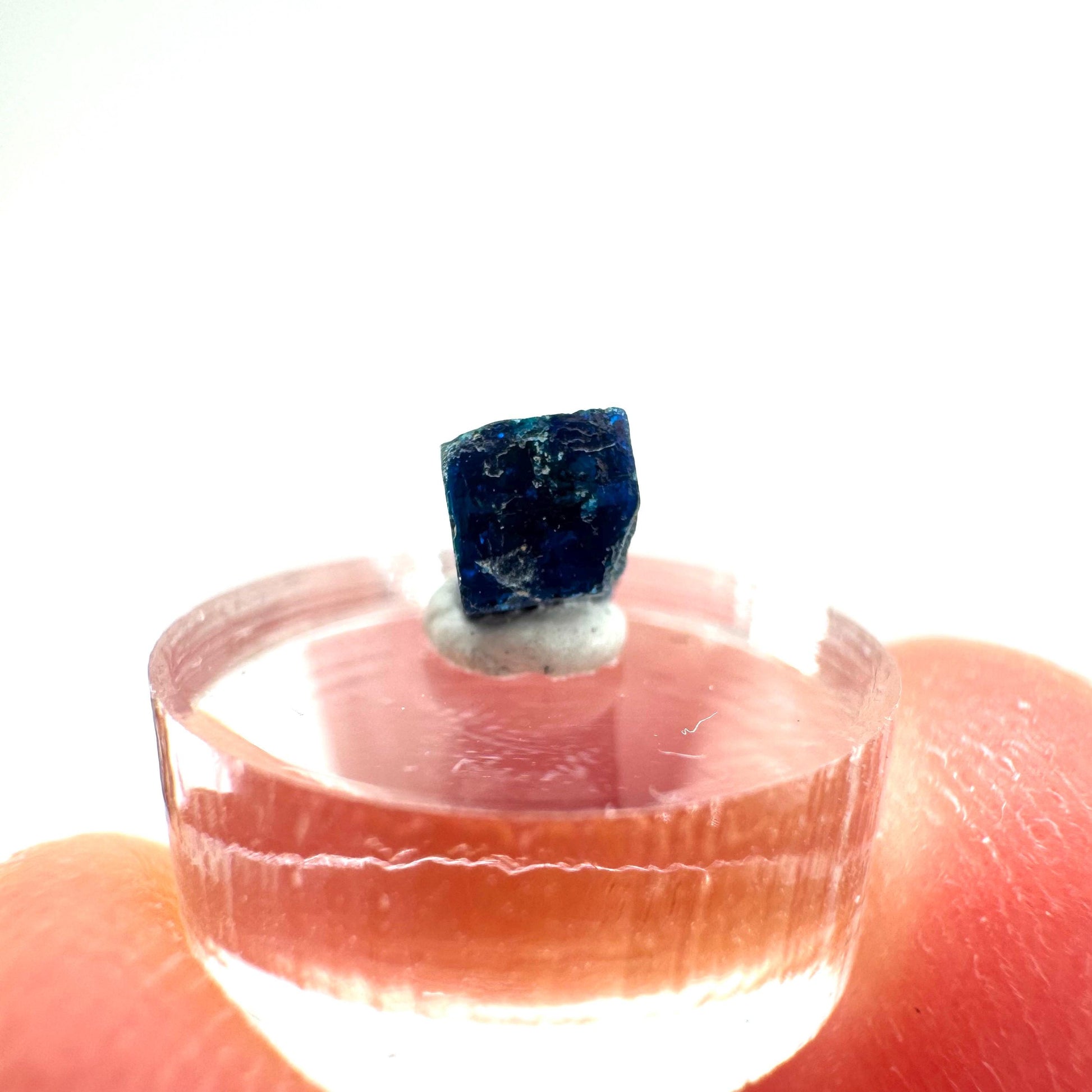 Boleite | blue cube crystal, tiny rare mineral specimen from Mexico