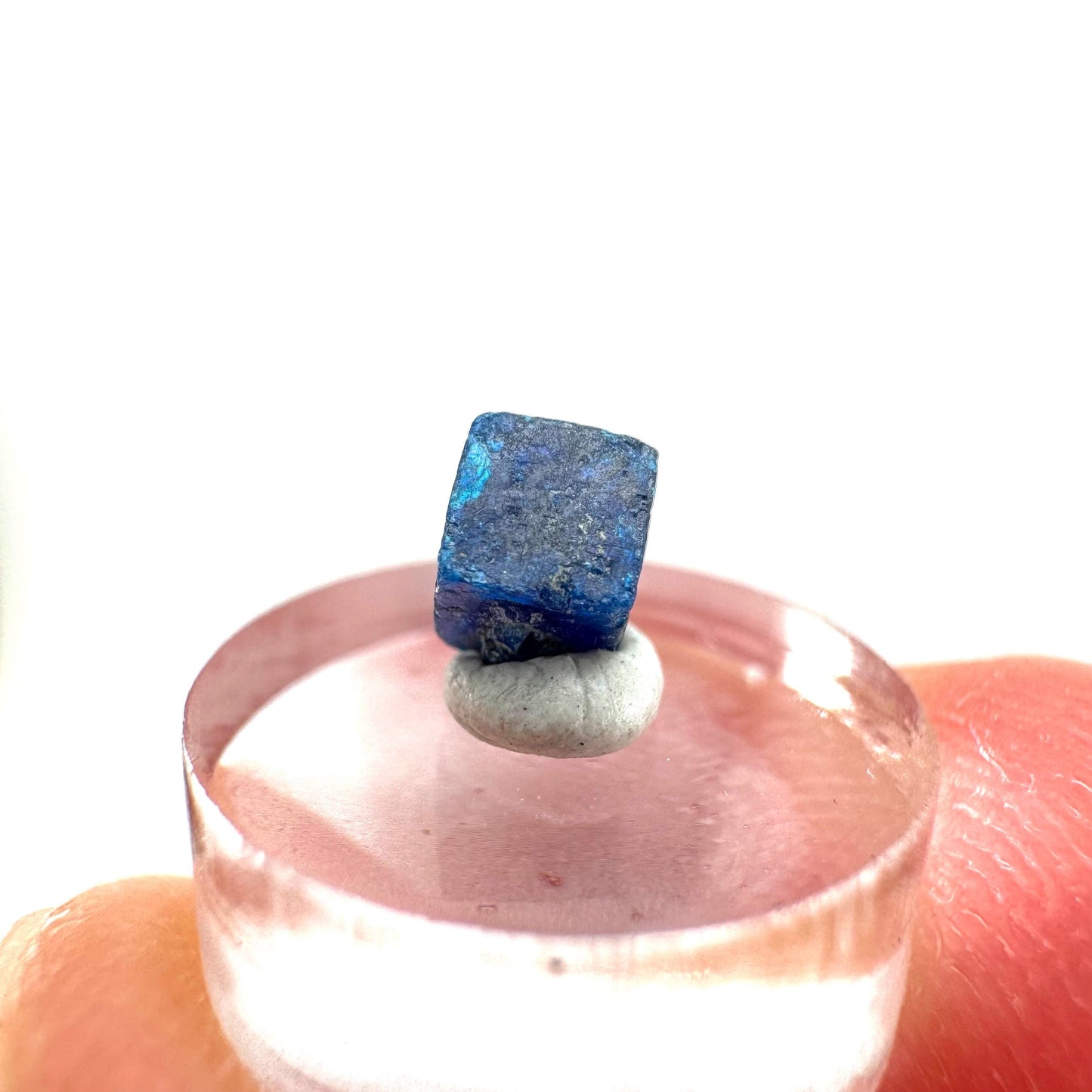 Boleite | blue cube crystal, tiny rare mineral specimen from Mexico