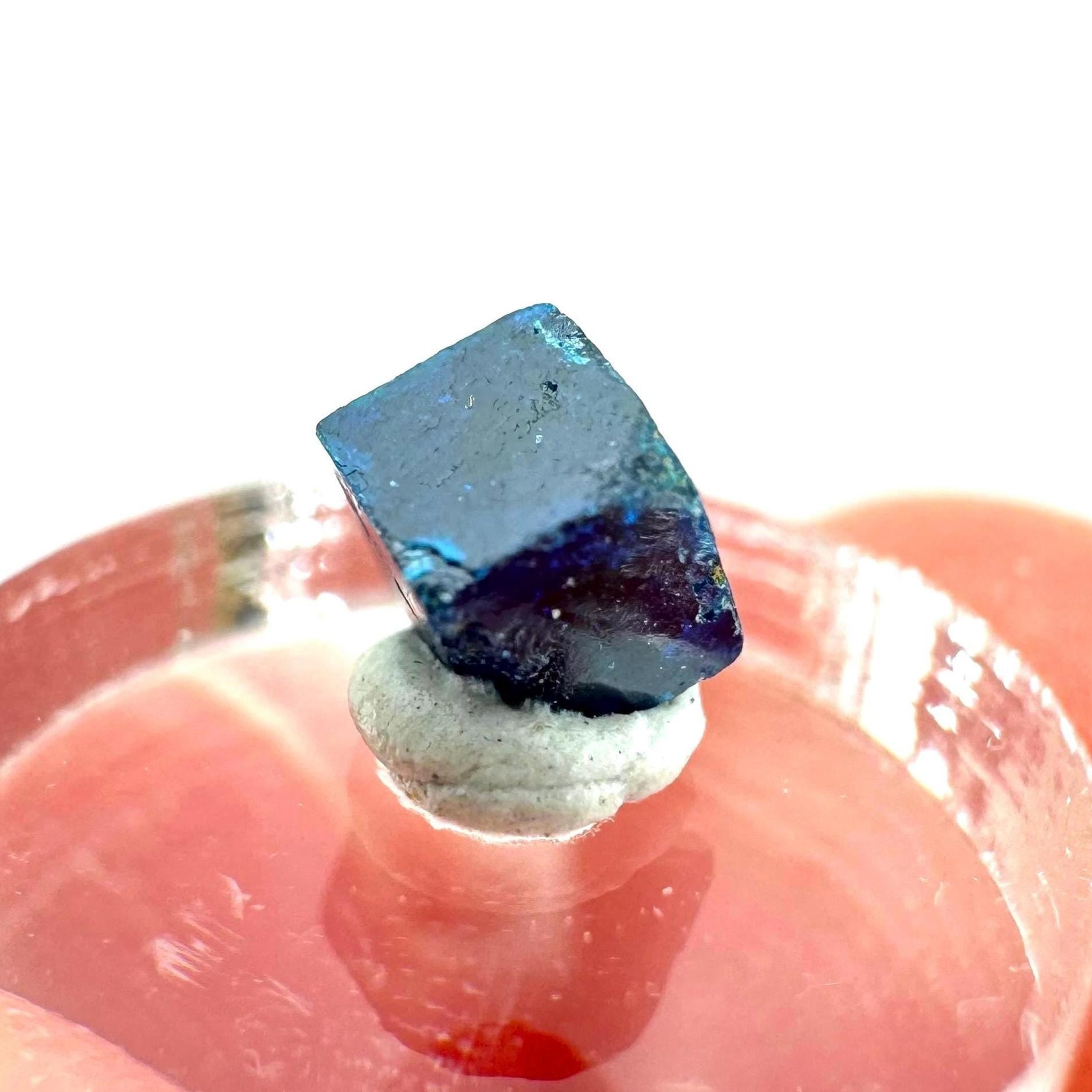 Boleite | blue cube crystal, tiny rare mineral specimen from Mexico