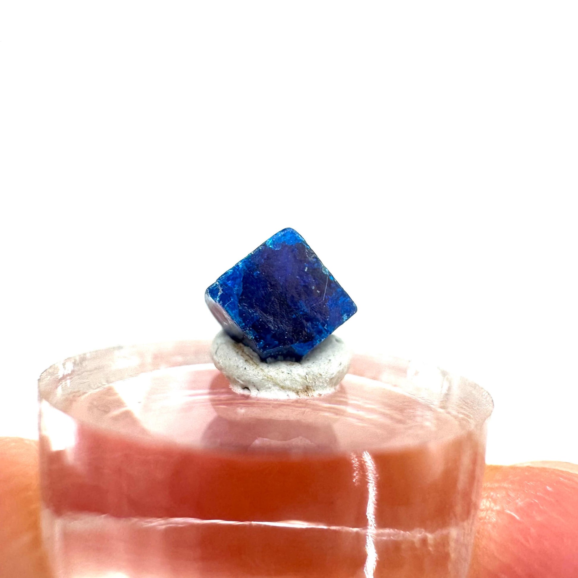 Boleite | blue cube crystal, tiny rare mineral specimen from Mexico