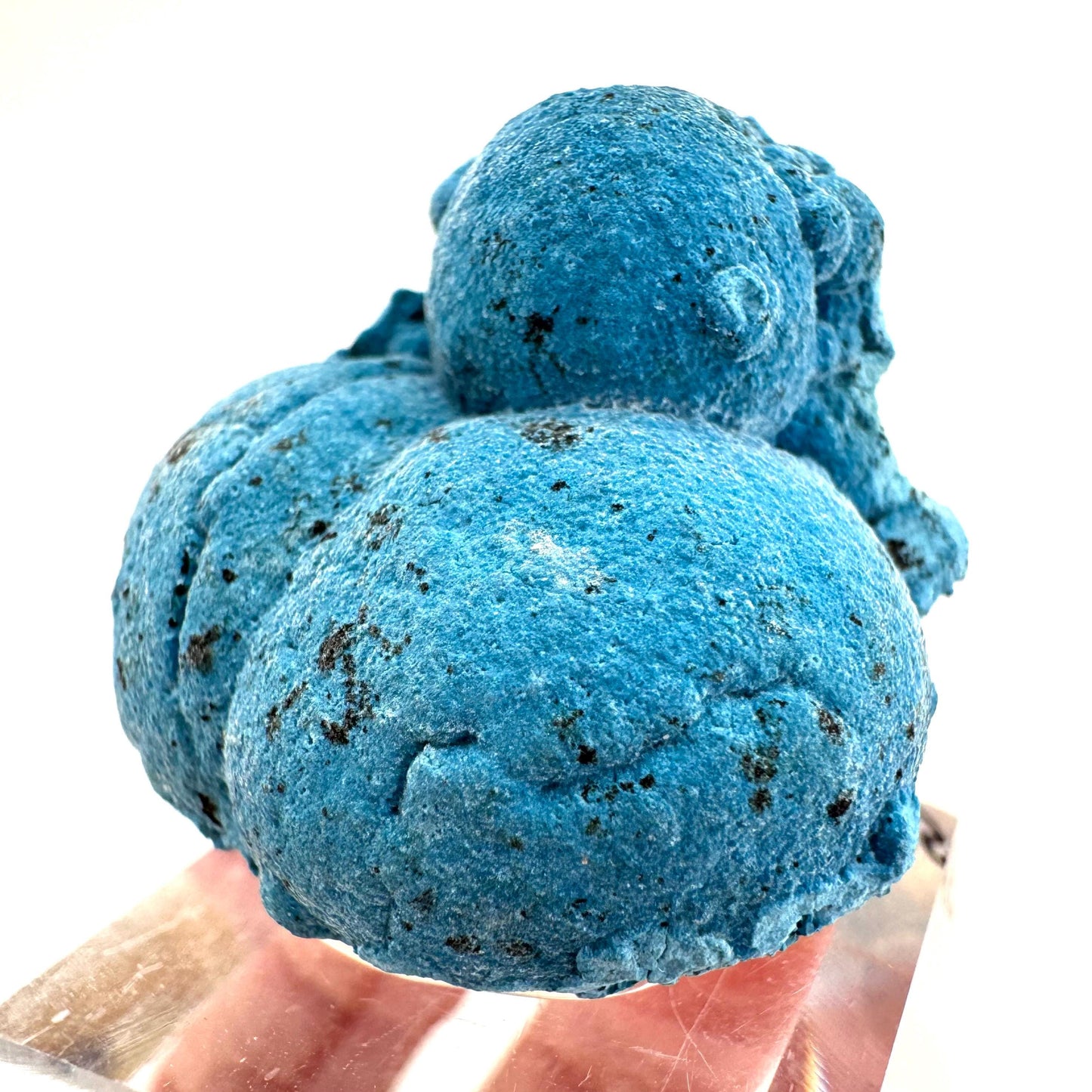 Shattuckite | Botryoidal Mineral Specimen from DR Congo