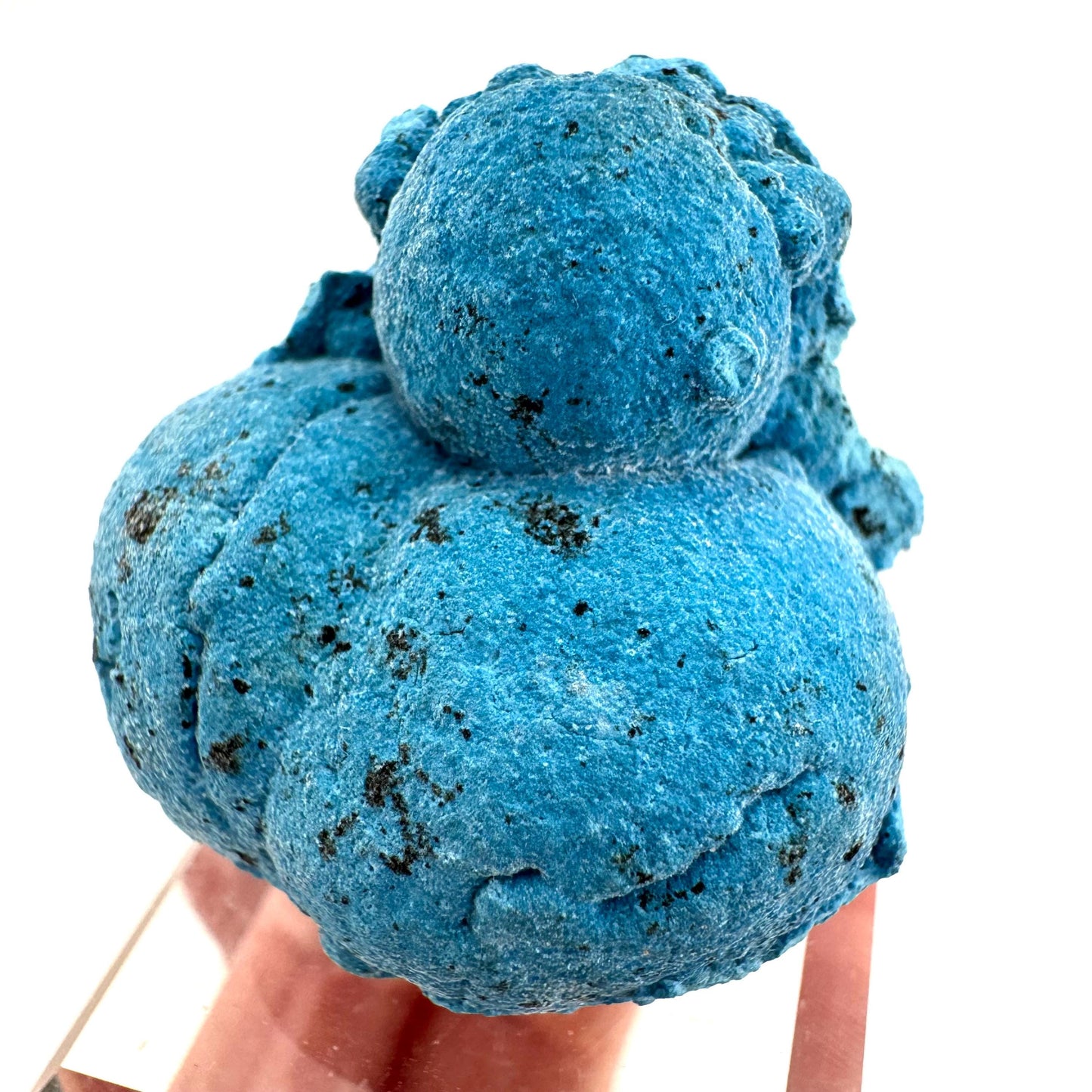 Shattuckite | Botryoidal Mineral Specimen from DR Congo
