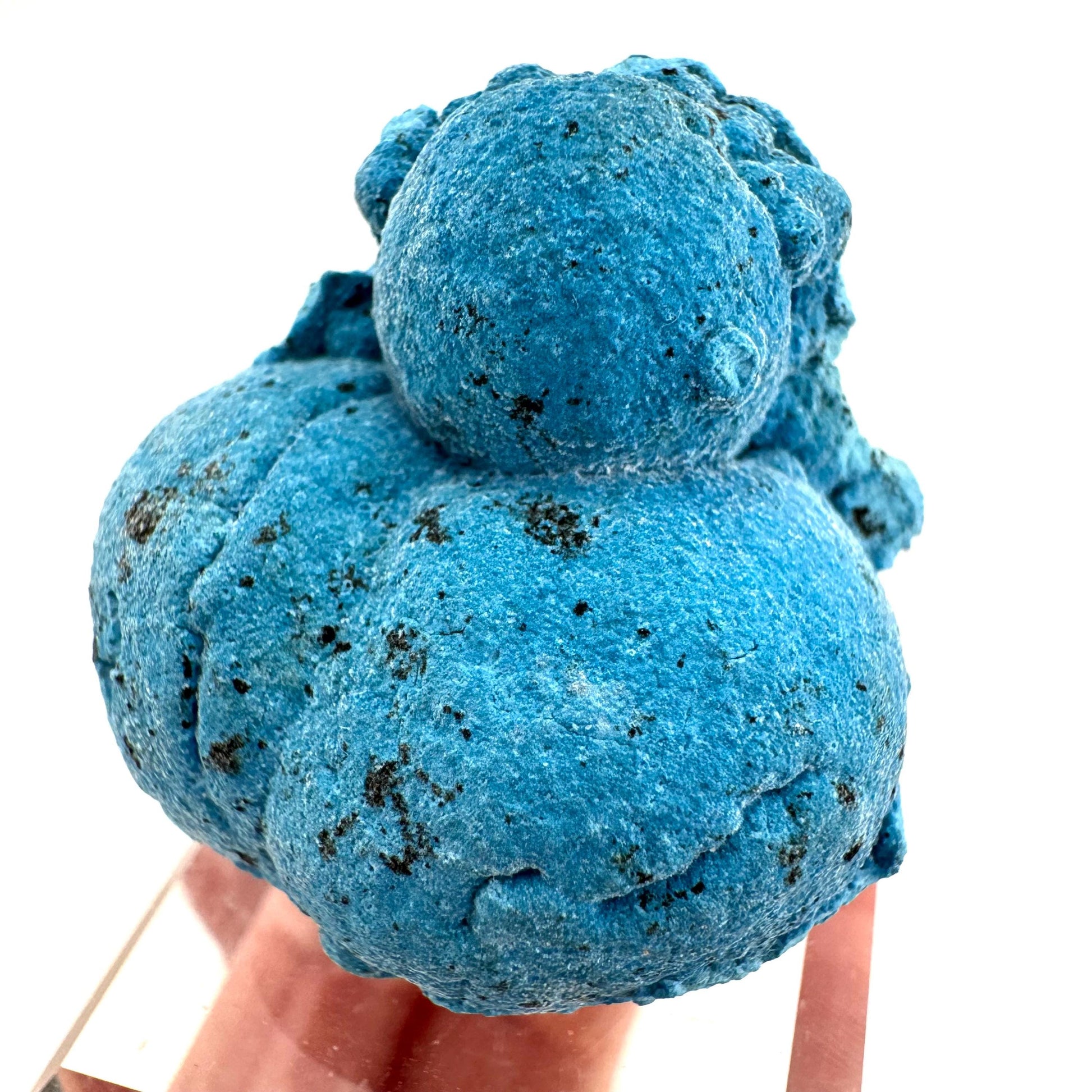 Shattuckite | Botryoidal Mineral Specimen from DR Congo