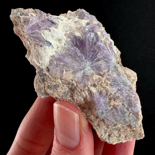 Purple Dumortierite (California, USA) | Rare Mineral specimen
