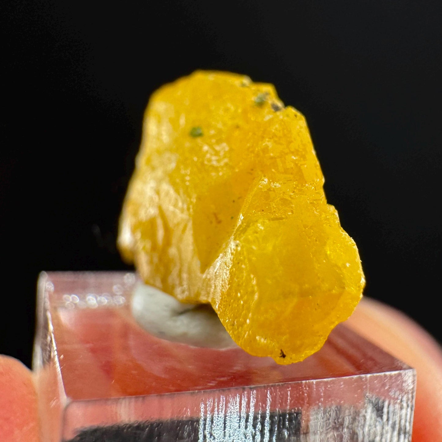 Mimetite Mineral Specimen | Rare Yellow Crystal from Congo