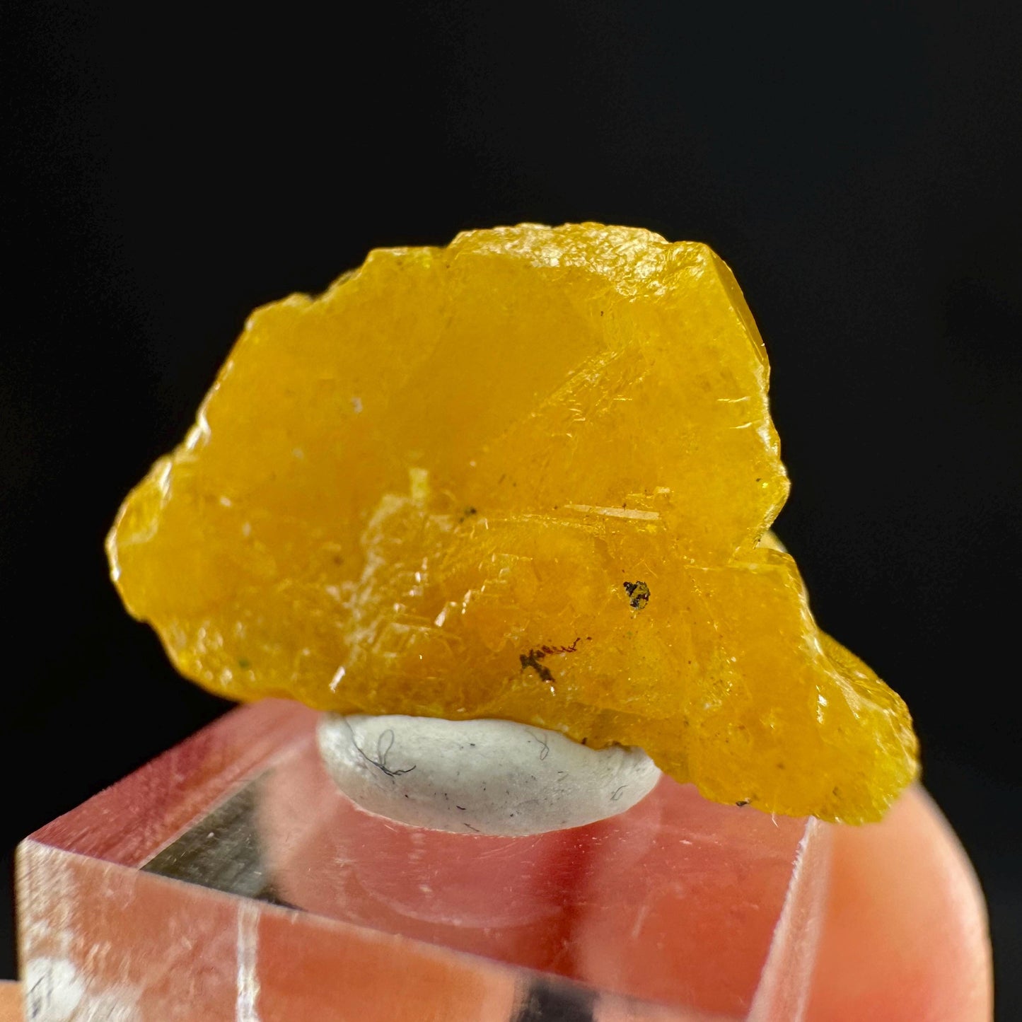 Mimetite Mineral Specimen | Rare Yellow Crystal from Congo