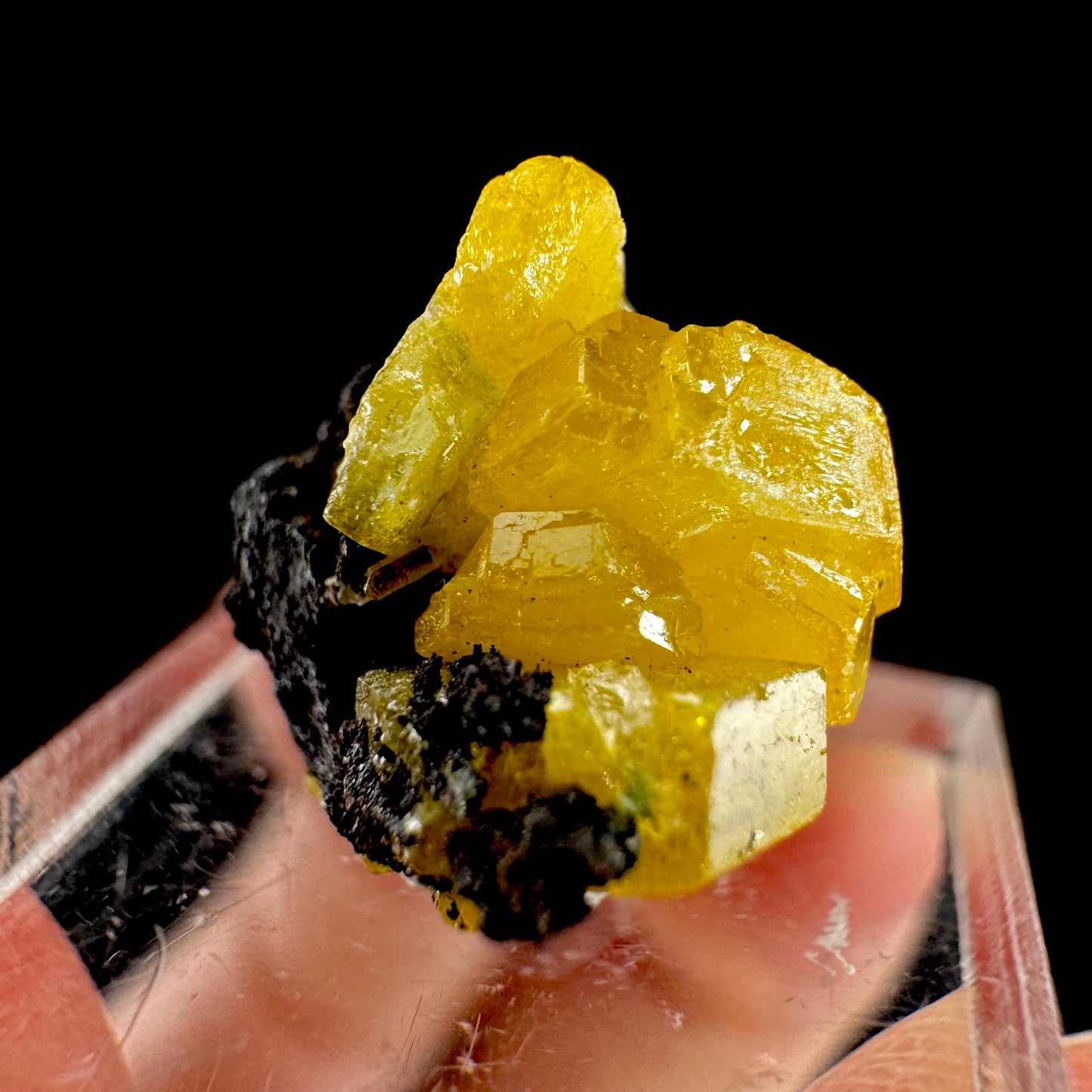 Mimetite Mineral Specimen | Rare Yellow Crystal from Congo