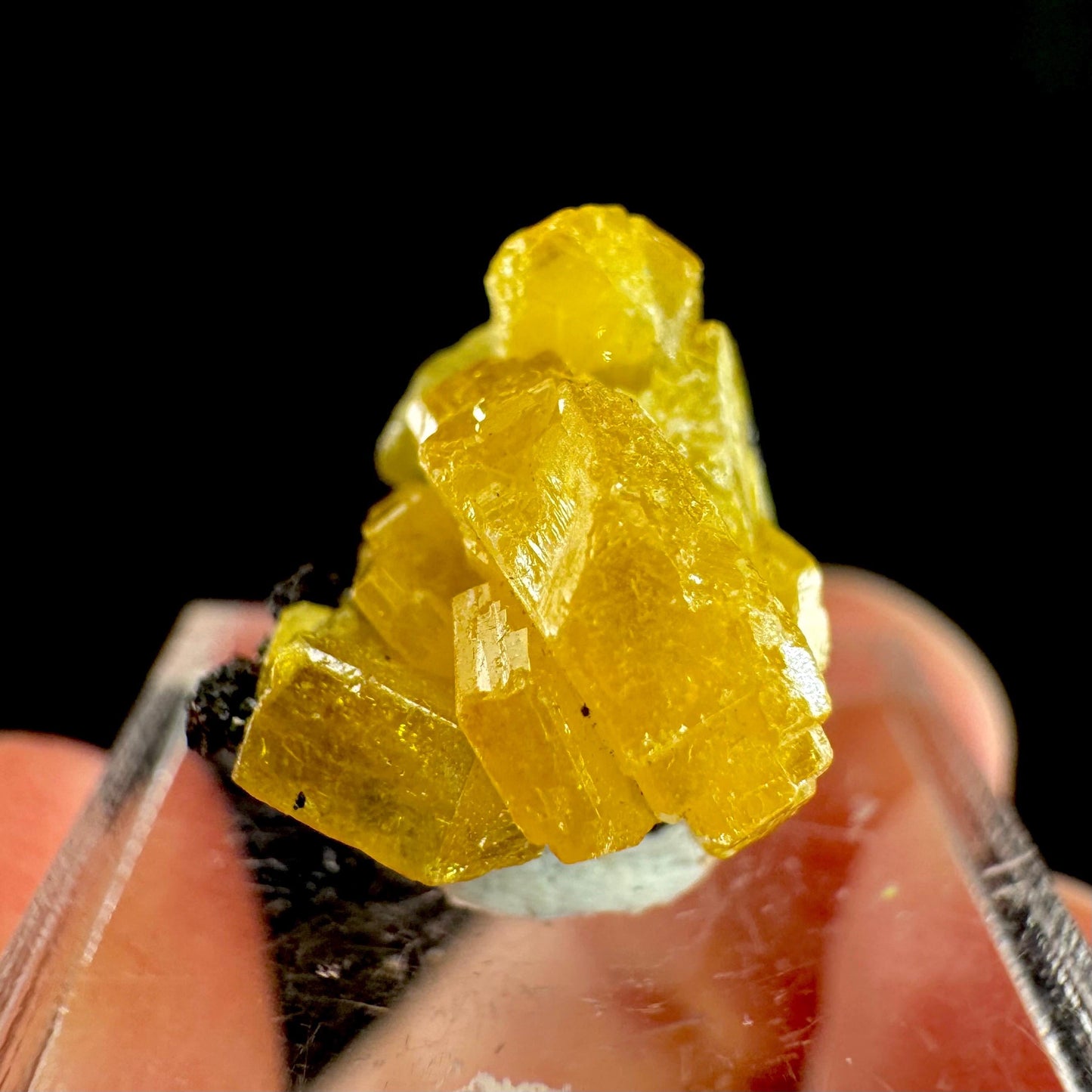 Mimetite Mineral Specimen | Rare Yellow Crystal from Congo
