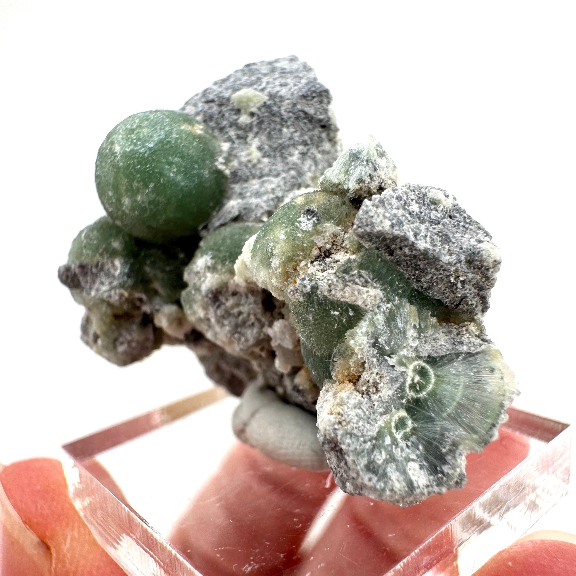 Wavellite (Arkansas, USA) | green crystal cluster, mineral specimen
