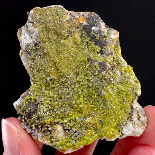 Pyromorphite (Bunker Hill Mine, Idaho) | green pyromorphite crystal, rare mineral specimen