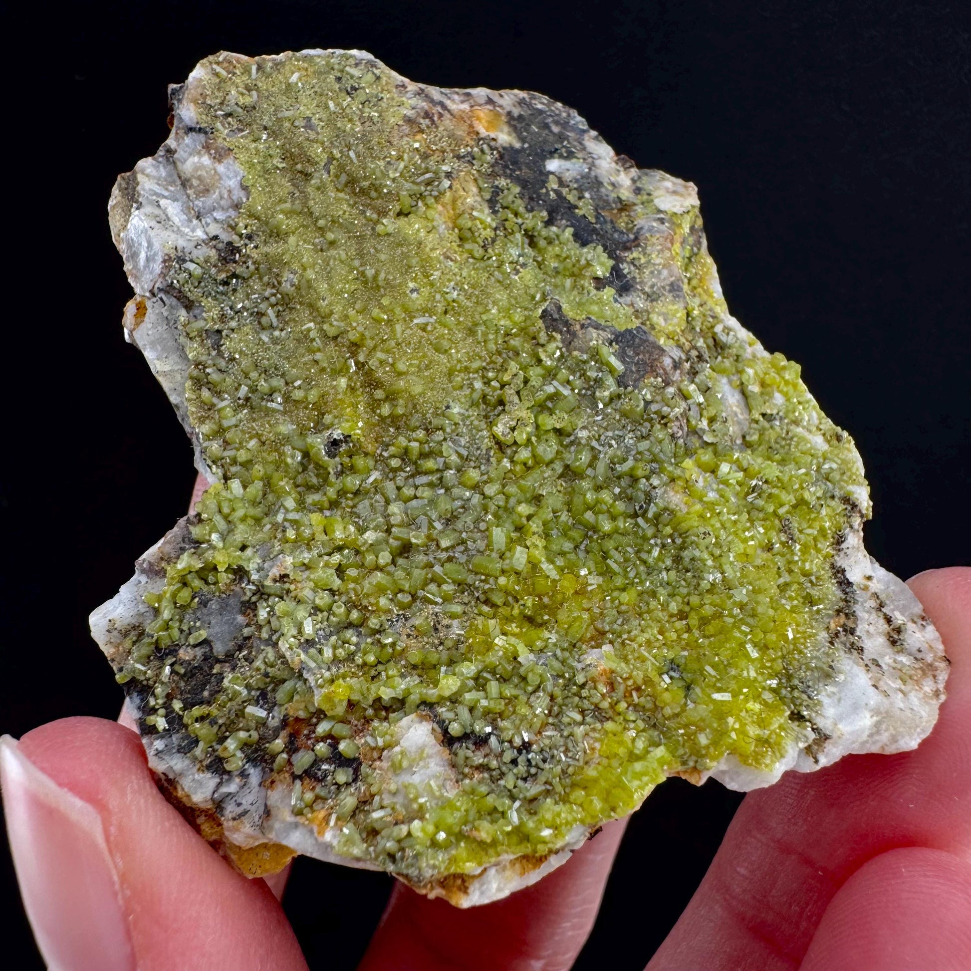 Pyromorphite (Bunker Hill Mine, Idaho) | green pyromorphite crystal, rare mineral specimen
