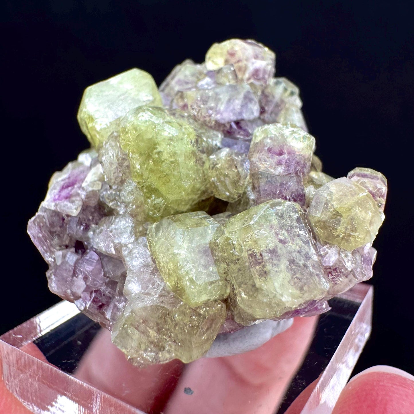 Vesuvianite (Canada) | green & purple vesuvianite crystal, rare mineral specimen