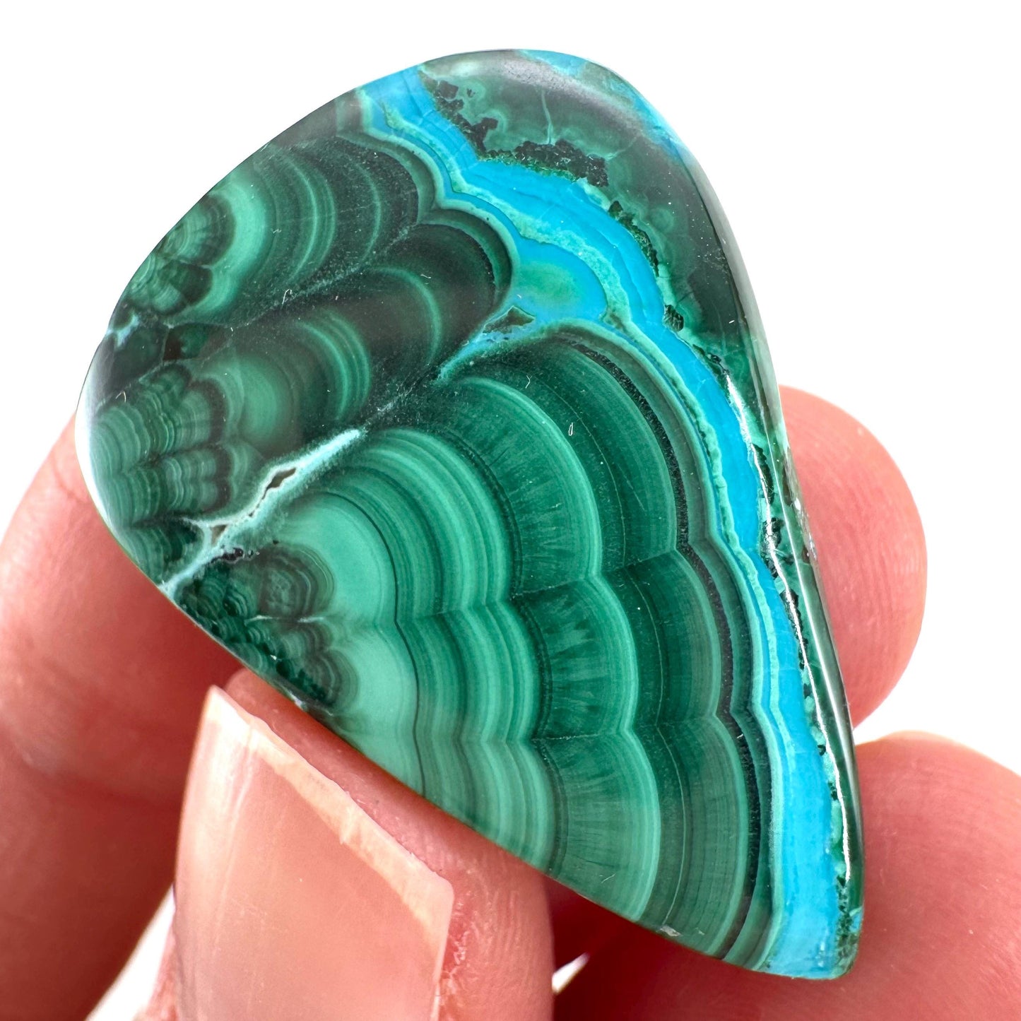 Malachite Chrysocolla Cabochon | Green and Blue Malacolla Gemstone