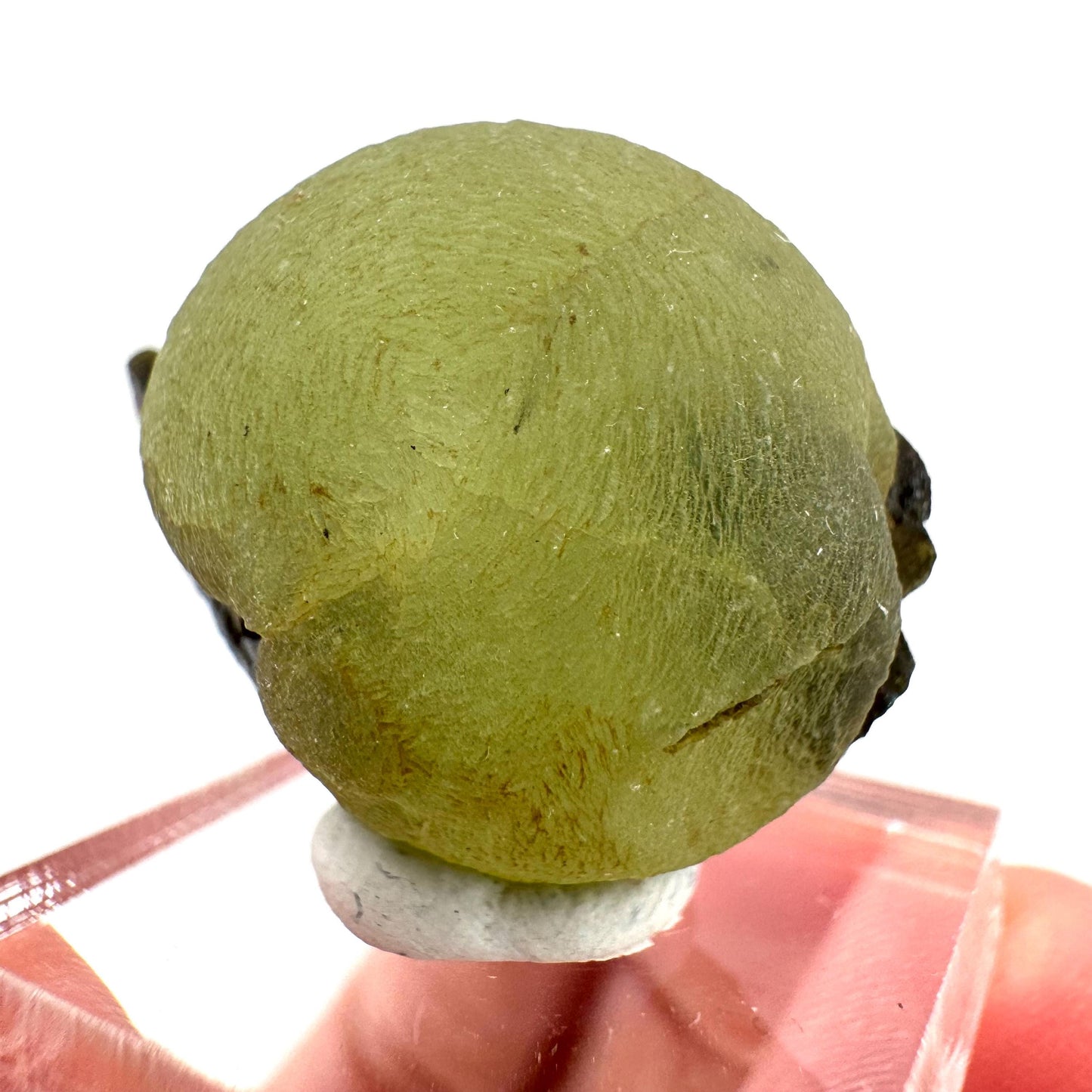 Prehnite with Epidote | Botryoidal green crystal, mineral specimen from Mali