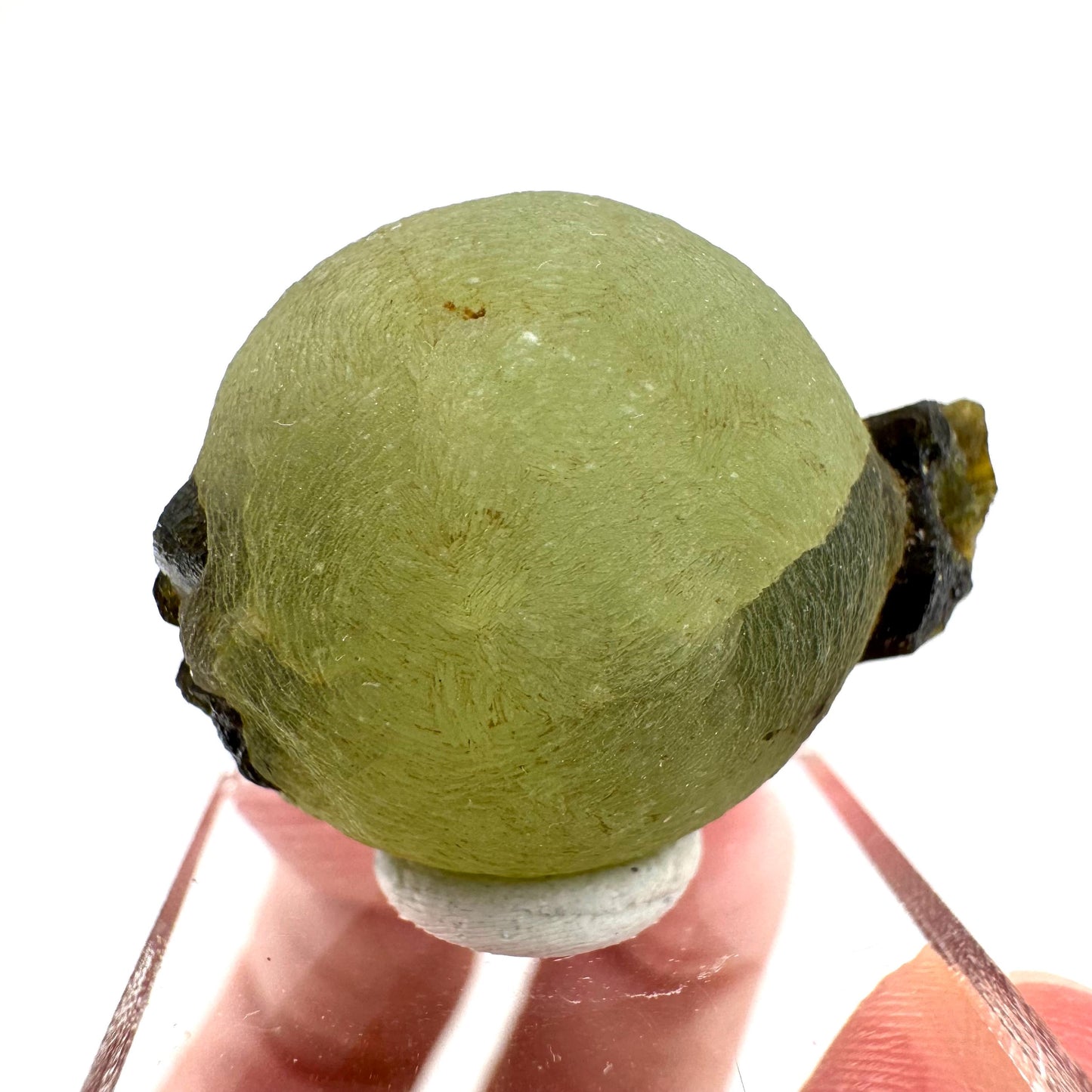 Prehnite with Epidote | Botryoidal green crystal, mineral specimen from Mali
