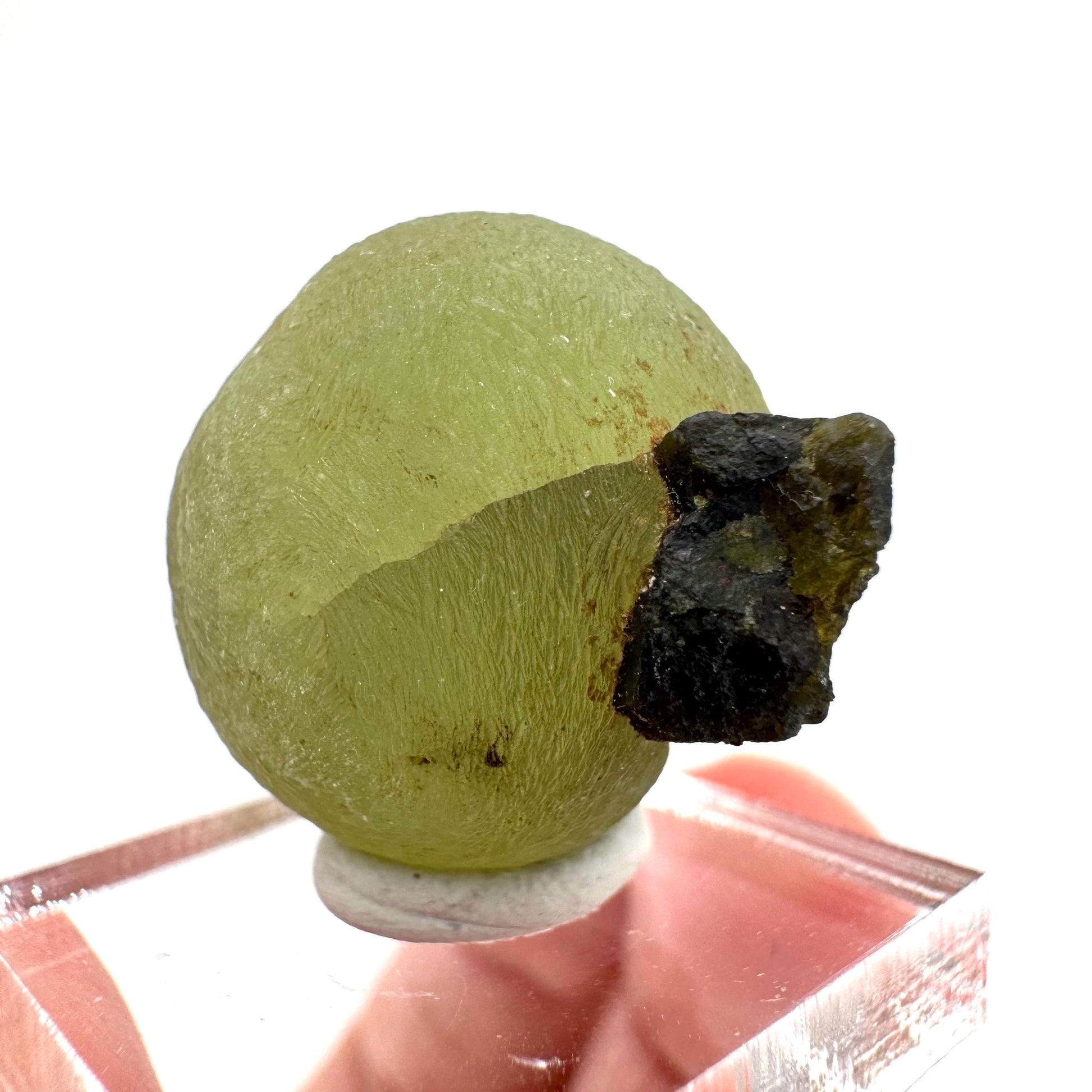 Prehnite with Epidote | Botryoidal green crystal, mineral specimen from Mali