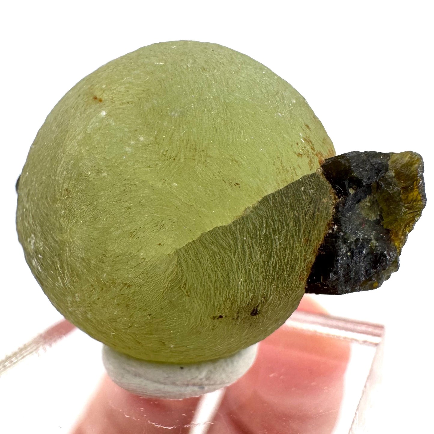 Prehnite with Epidote | Botryoidal green crystal, mineral specimen from Mali