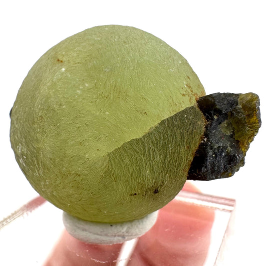 Prehnite with Epidote | Botryoidal green crystal, mineral specimen from Mali