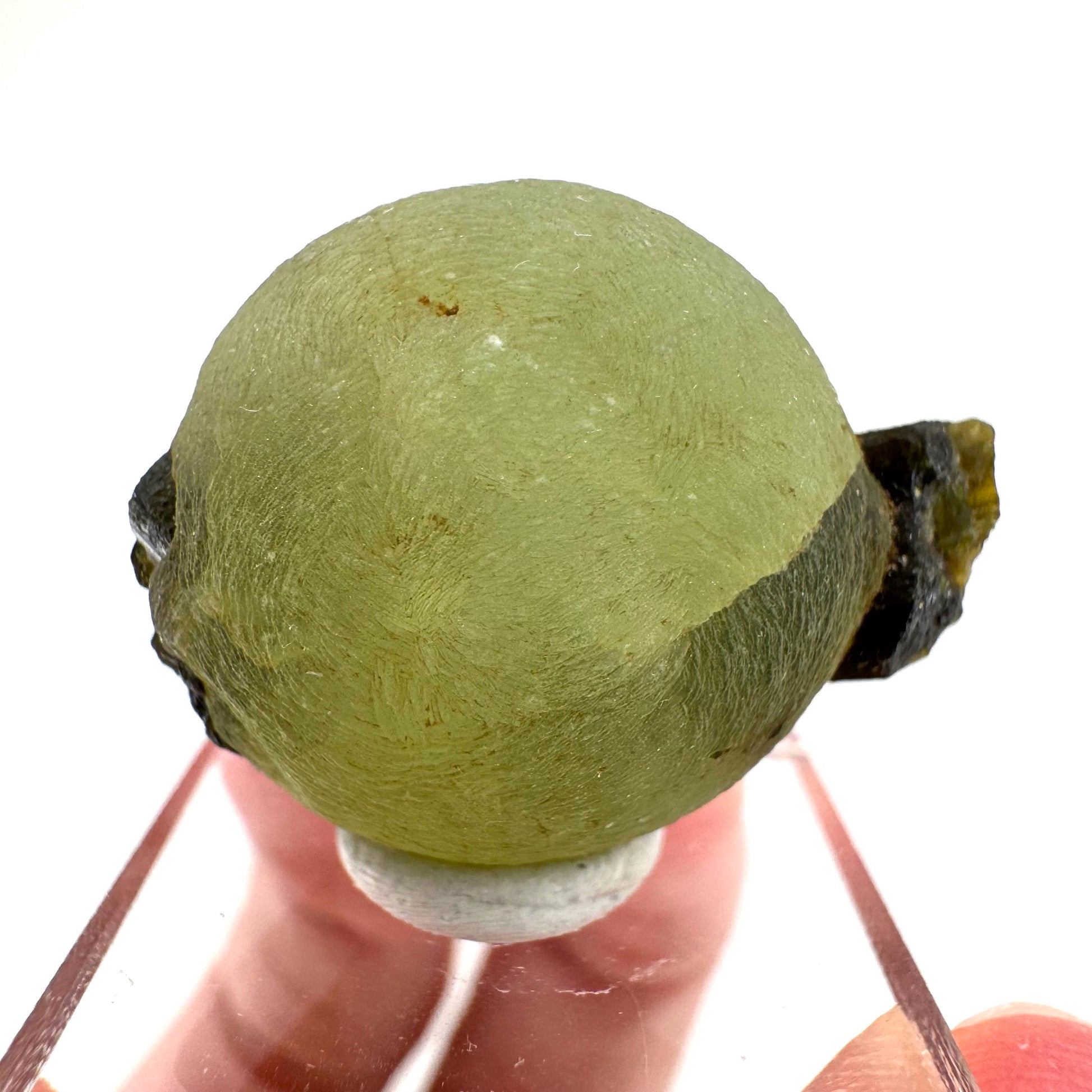 Prehnite with Epidote | Botryoidal green crystal, mineral specimen from Mali