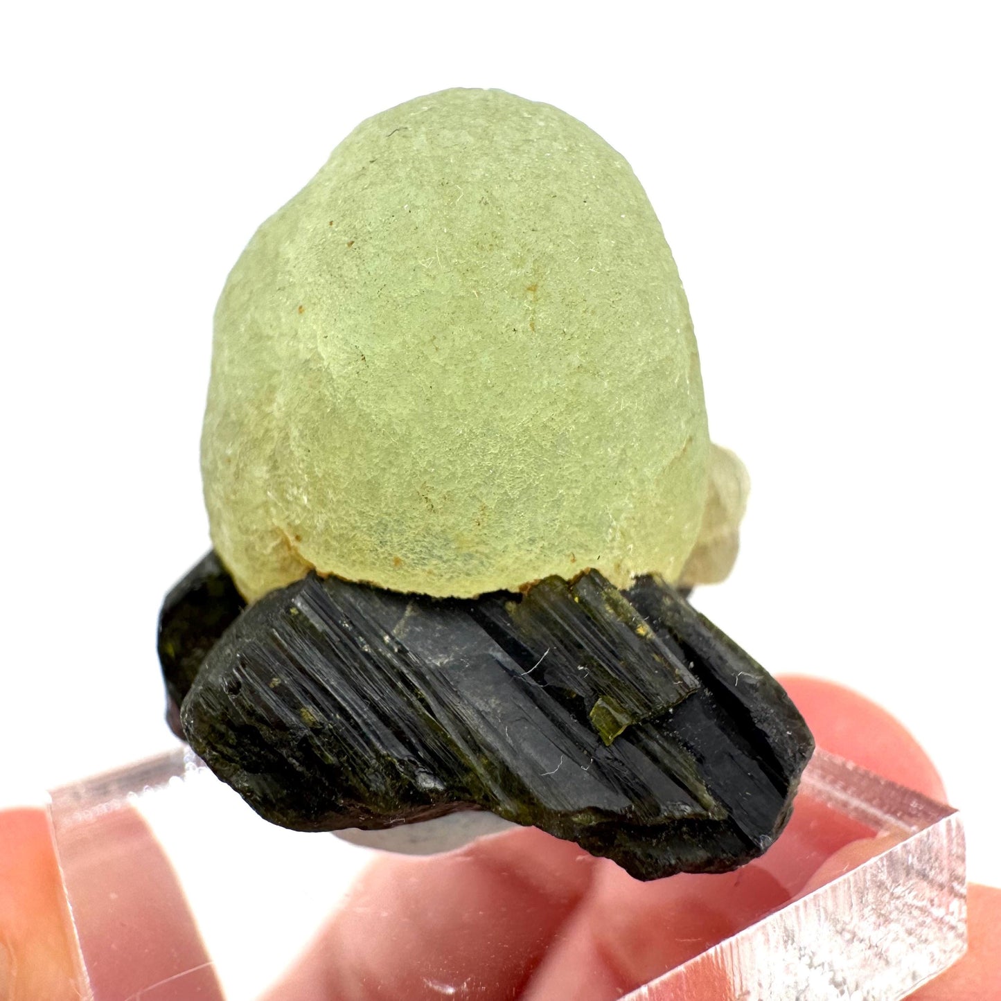 Prehnite with Epidote | Botryoidal green crystal, mineral specimen from Mali