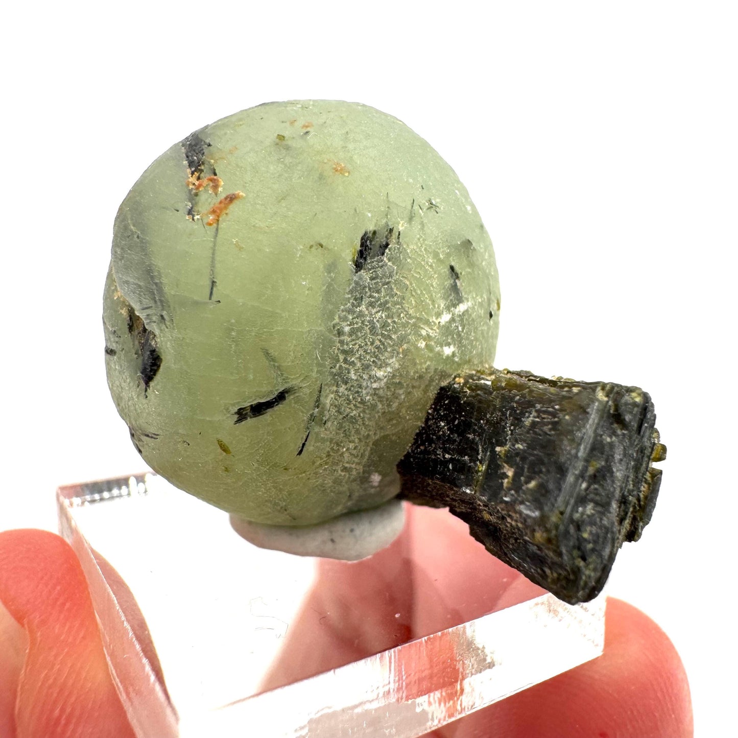 Prehnite with Epidote | Botryoidal green crystal, mineral specimen from Mali