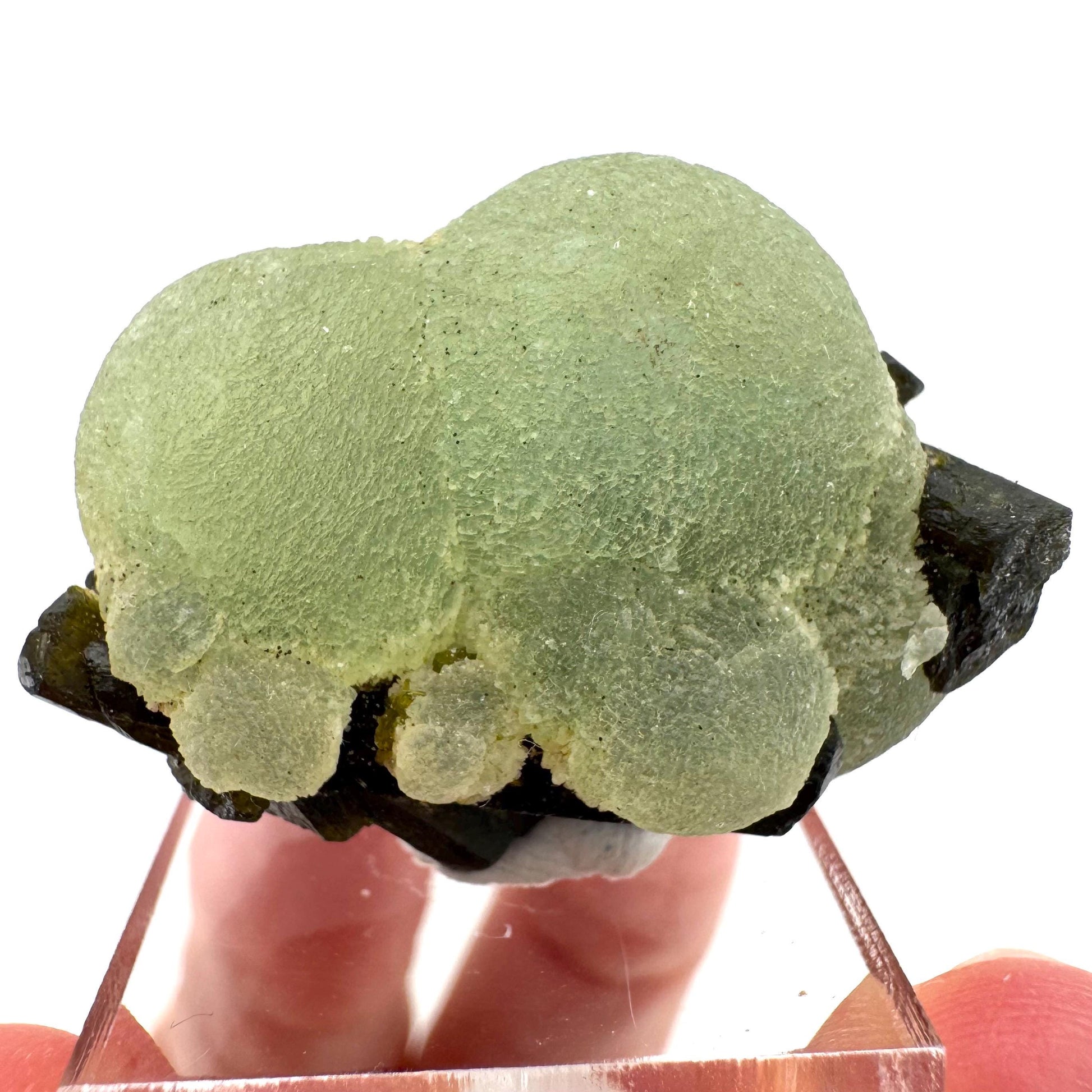 Prehnite with Epidote | Botryoidal green crystal, mineral specimen from Mali