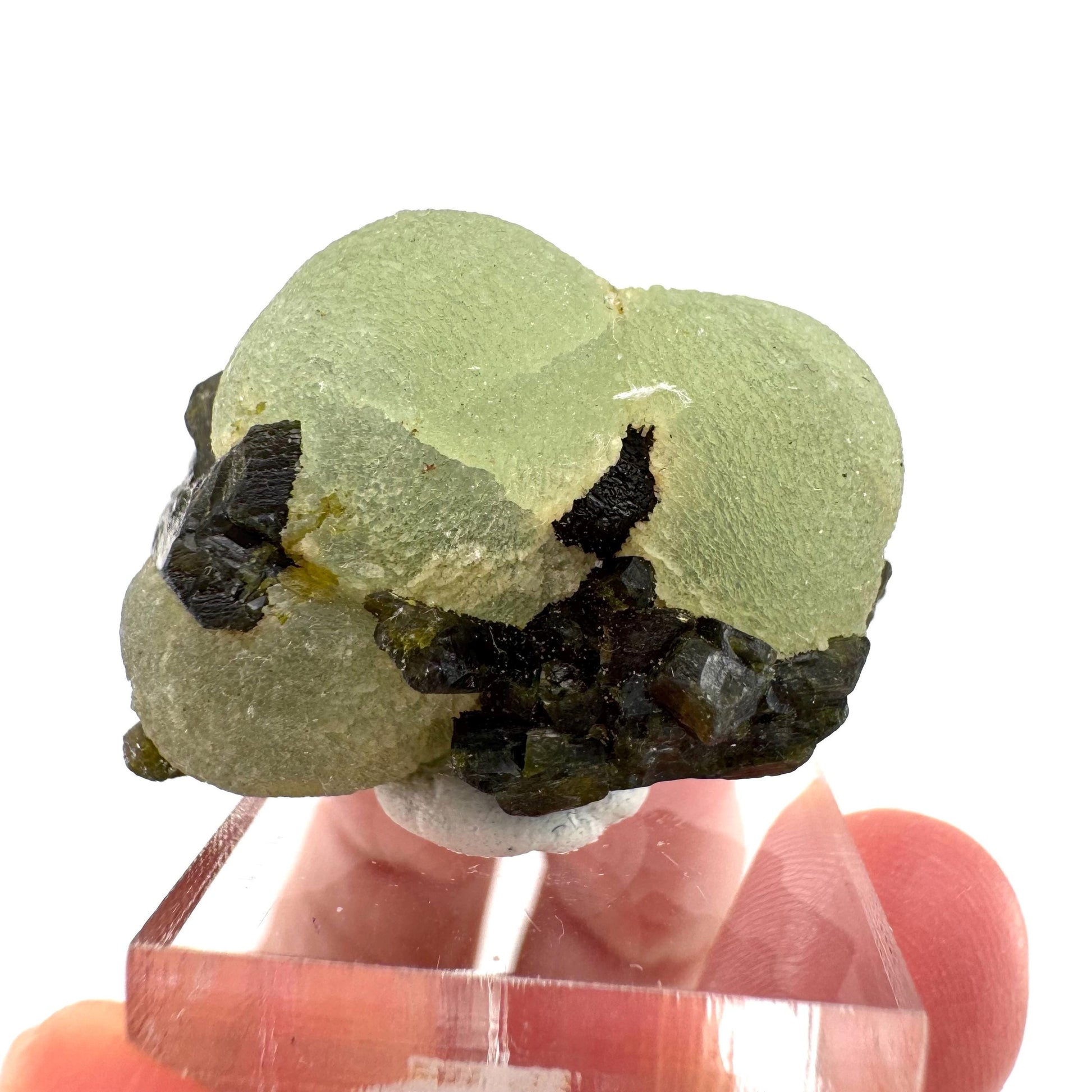 Prehnite with Epidote | Botryoidal green crystal, mineral specimen from Mali