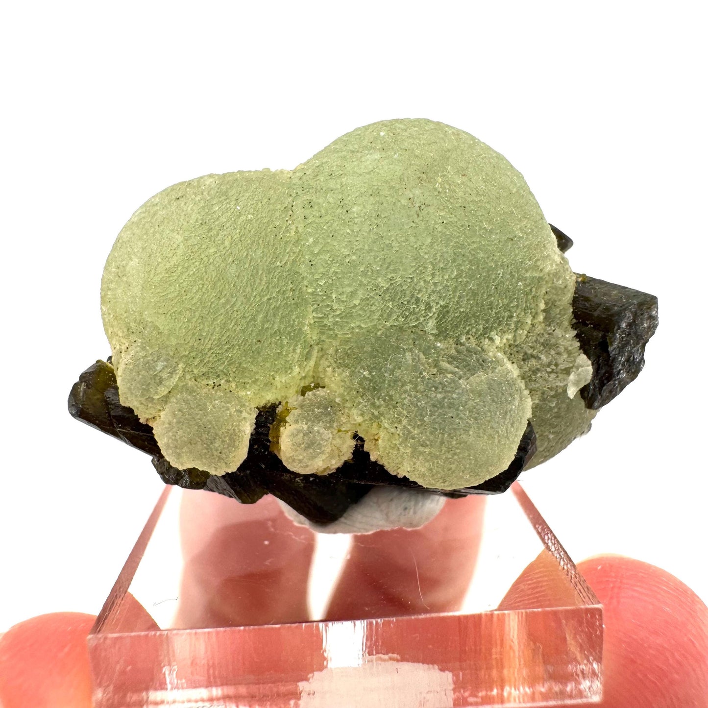 Prehnite with Epidote | Botryoidal green crystal, mineral specimen from Mali