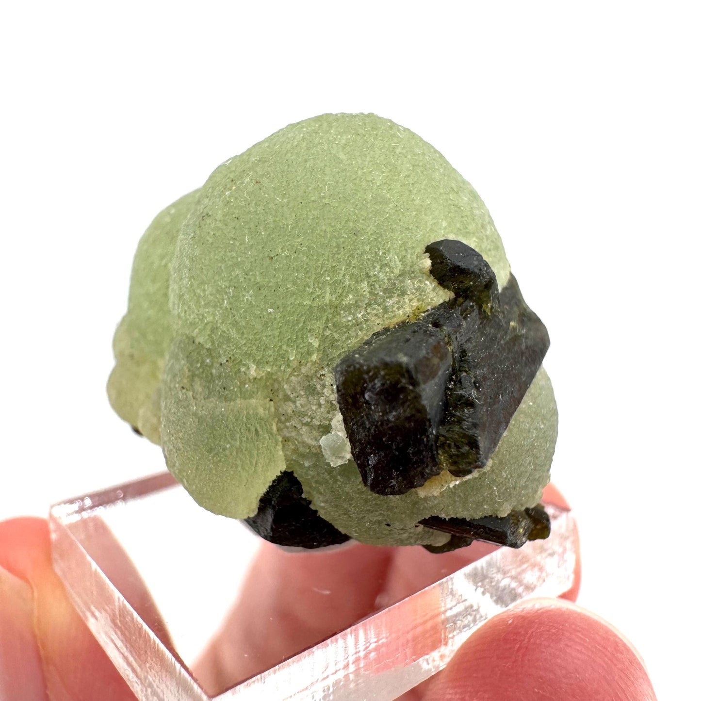 Prehnite with Epidote | Botryoidal green crystal, mineral specimen from Mali