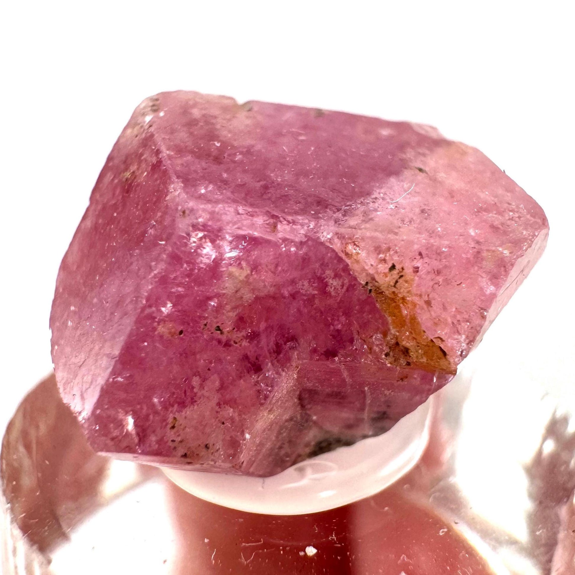 Raspberry Garnet | pink grossular garnet crystal from Mexico