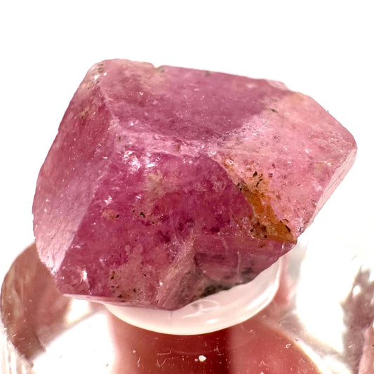 Raspberry Garnet | pink grossular garnet crystal from Mexico