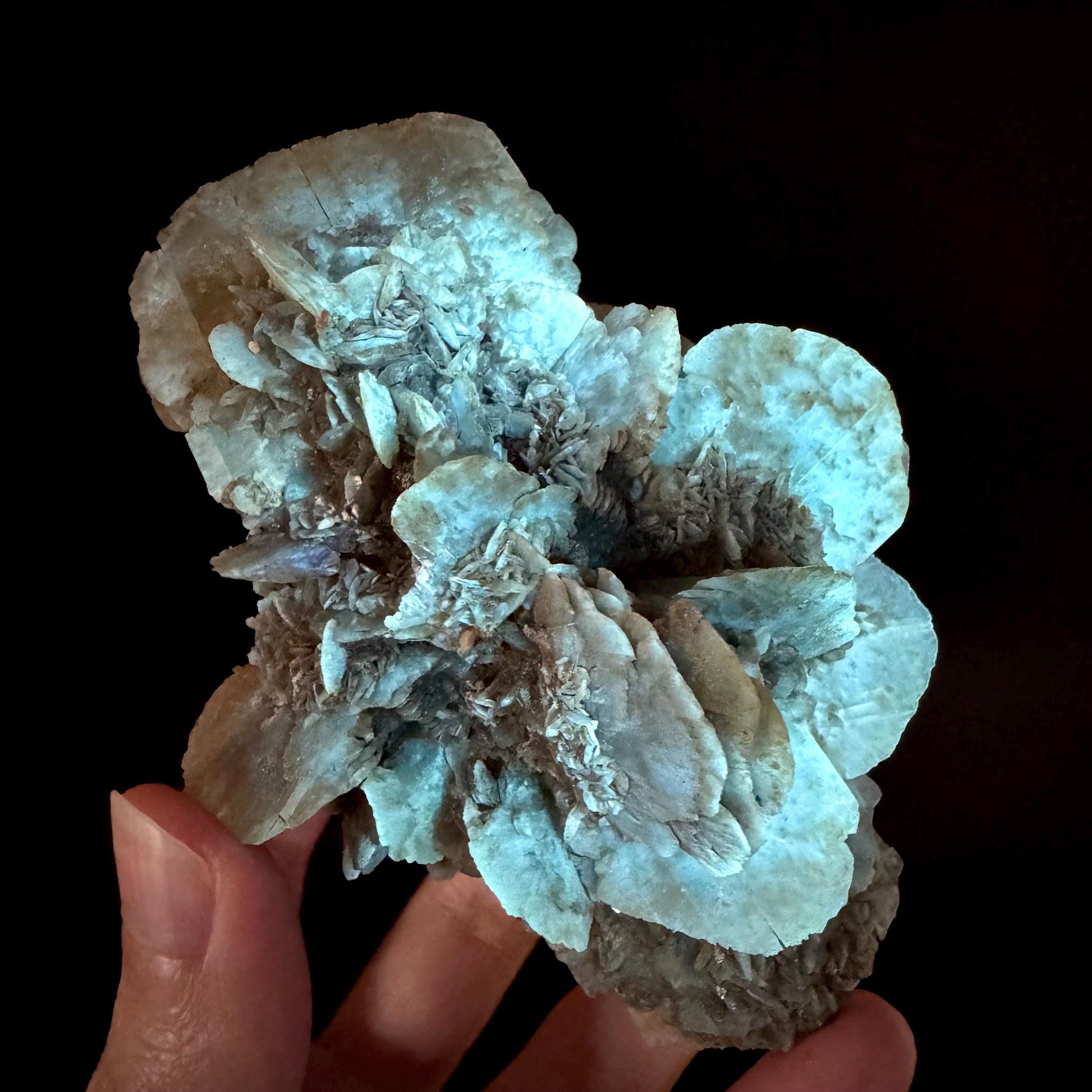 Golden Selenite Rosette | Phosphorescent UV Reactive Gypsum Crystal from Canada