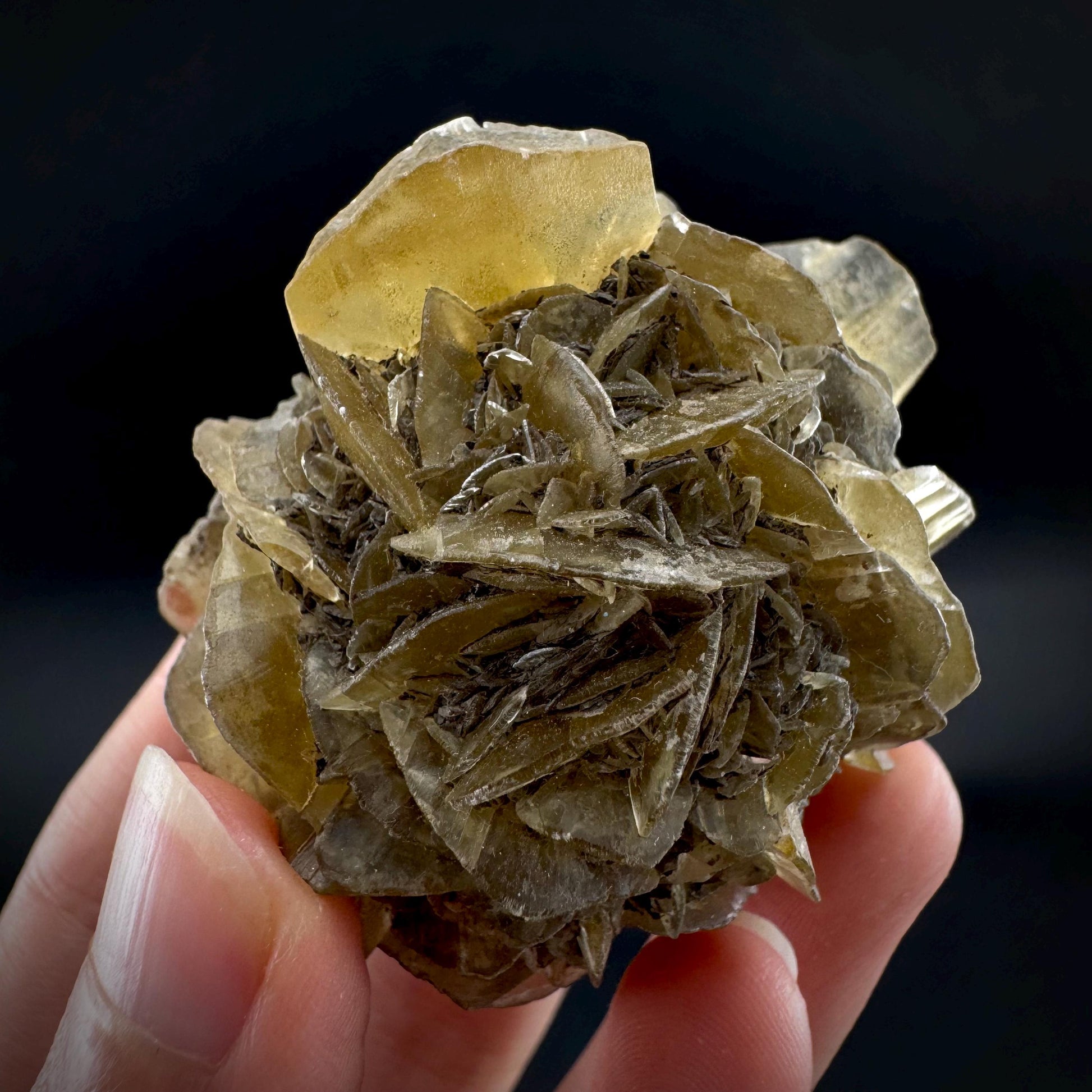 Golden Selenite Rosette | Phosphorescent UV Reactive Gypsum Crystal from Canada